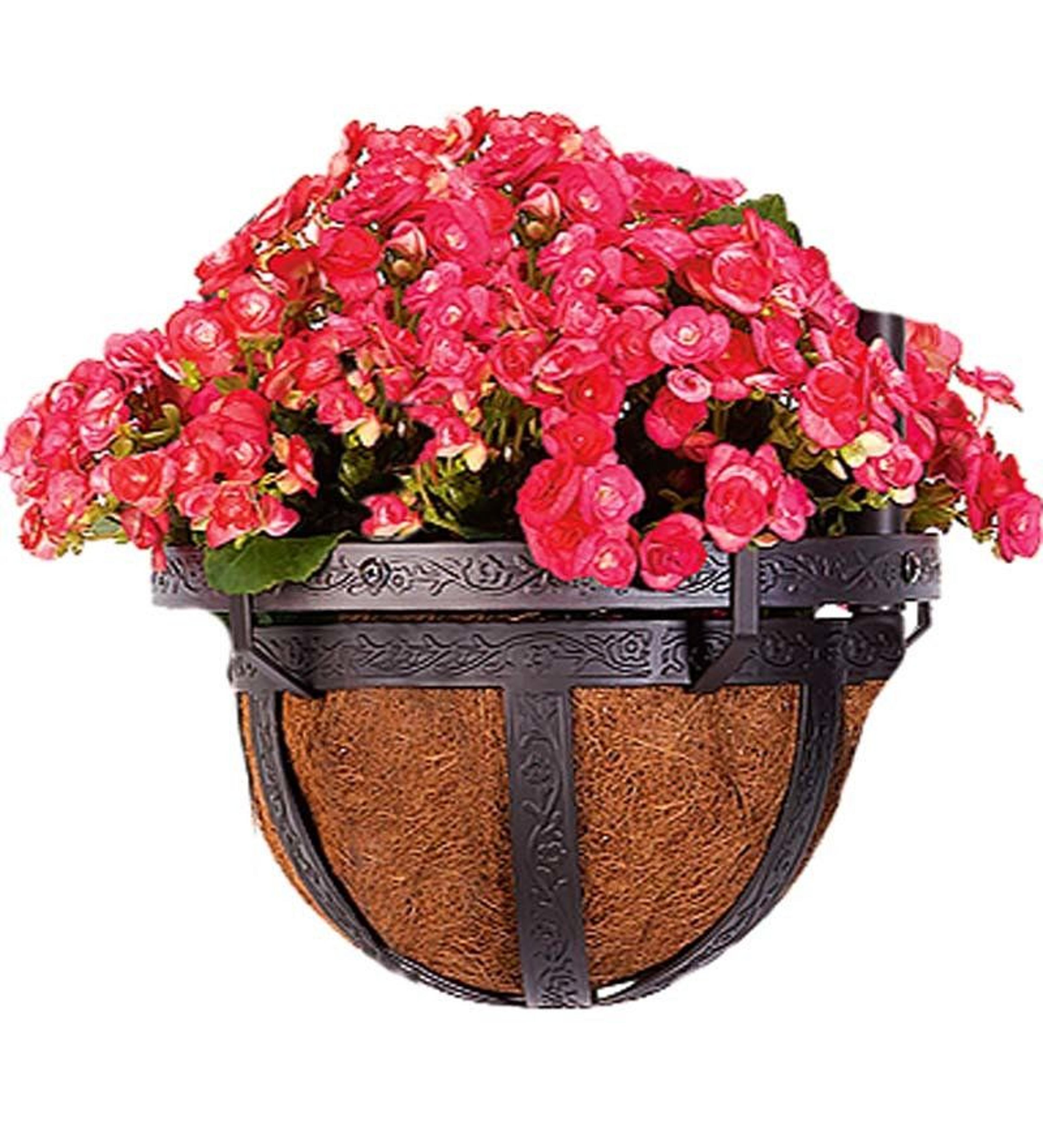 stainless steel hanging planter for indoor outdoor gardens