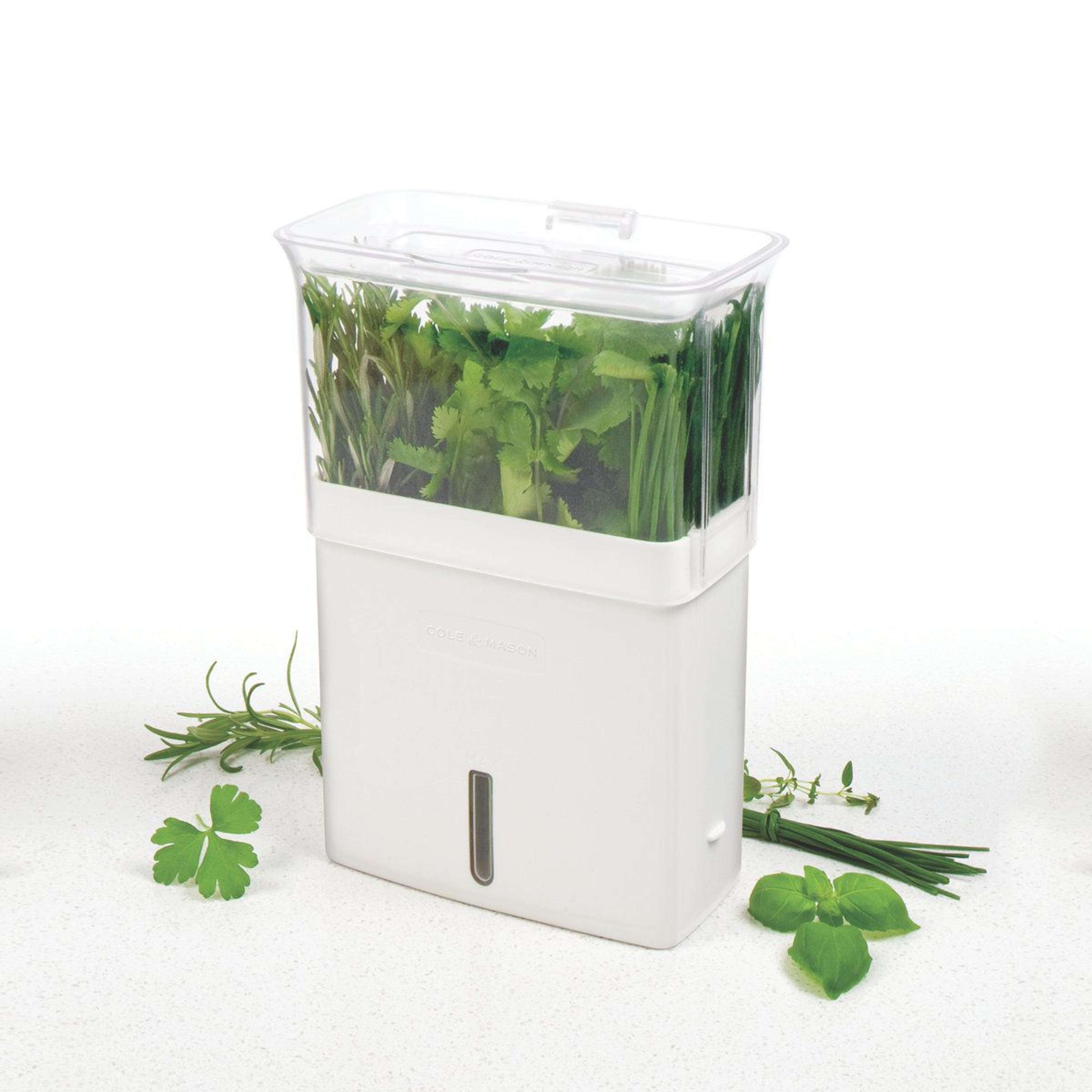 self watering fresh herb keeper indoor herb storage container