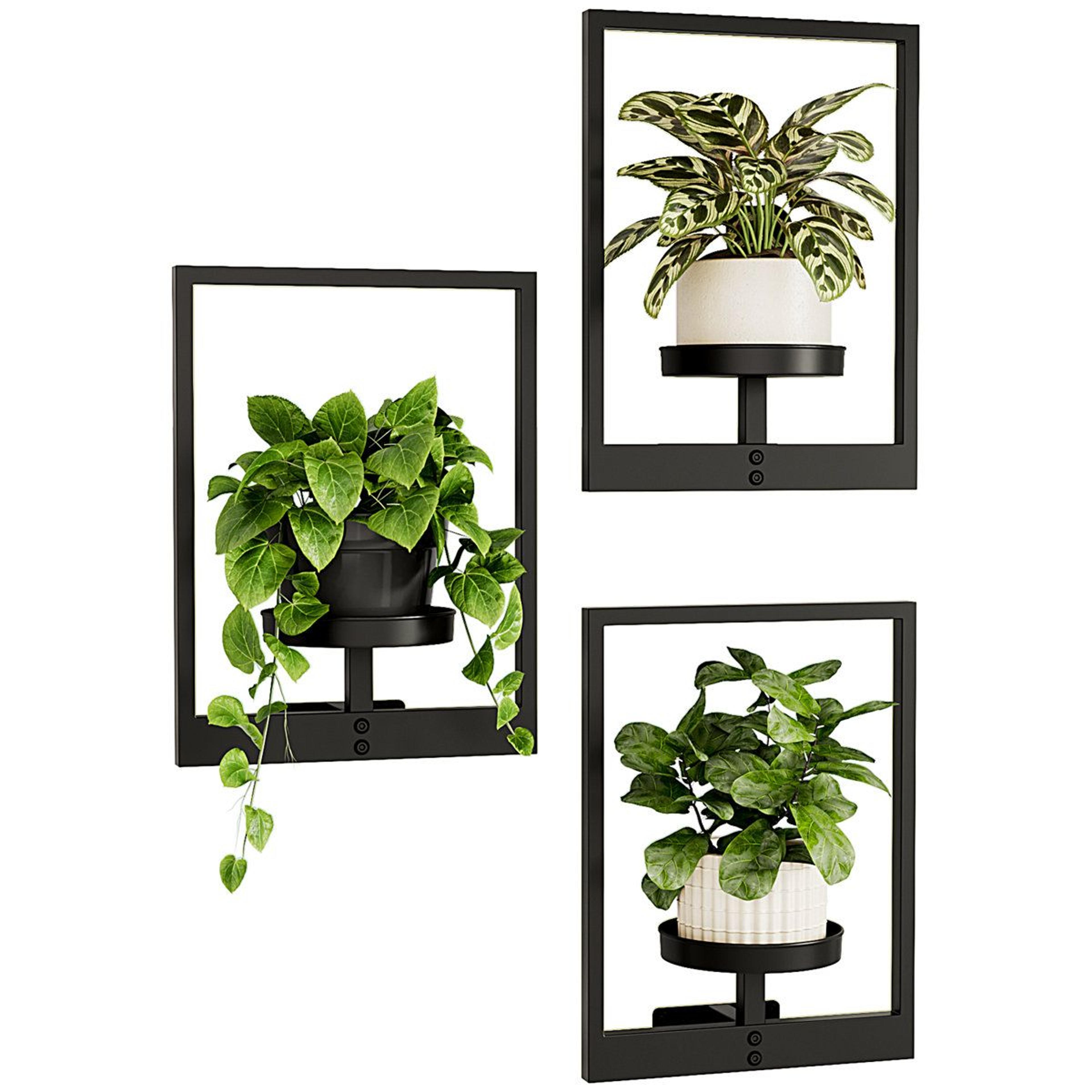 3 pack wall hanging planters black metal plant shelves for indoor outdoor decor
