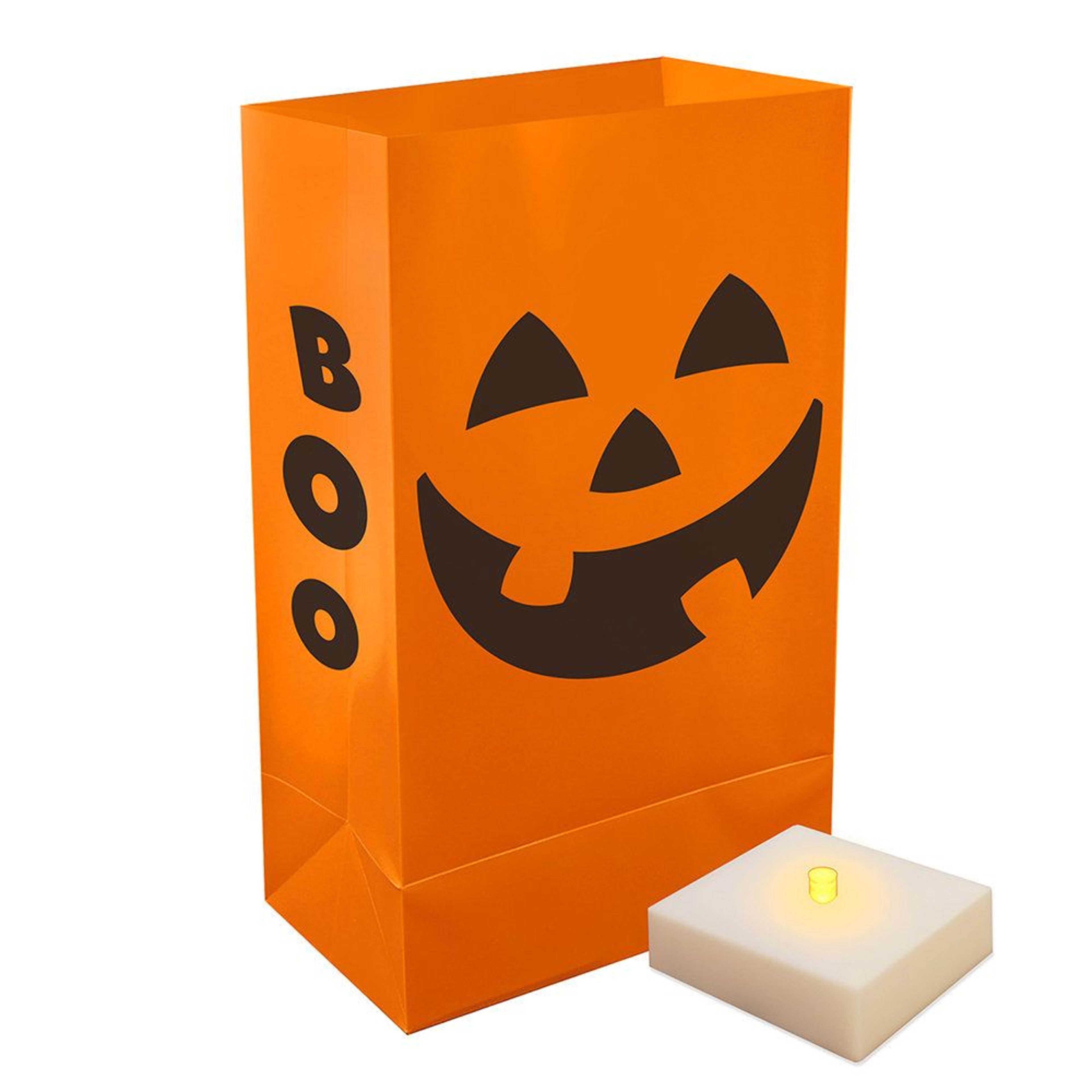 battery operated luminaria lights set of 6