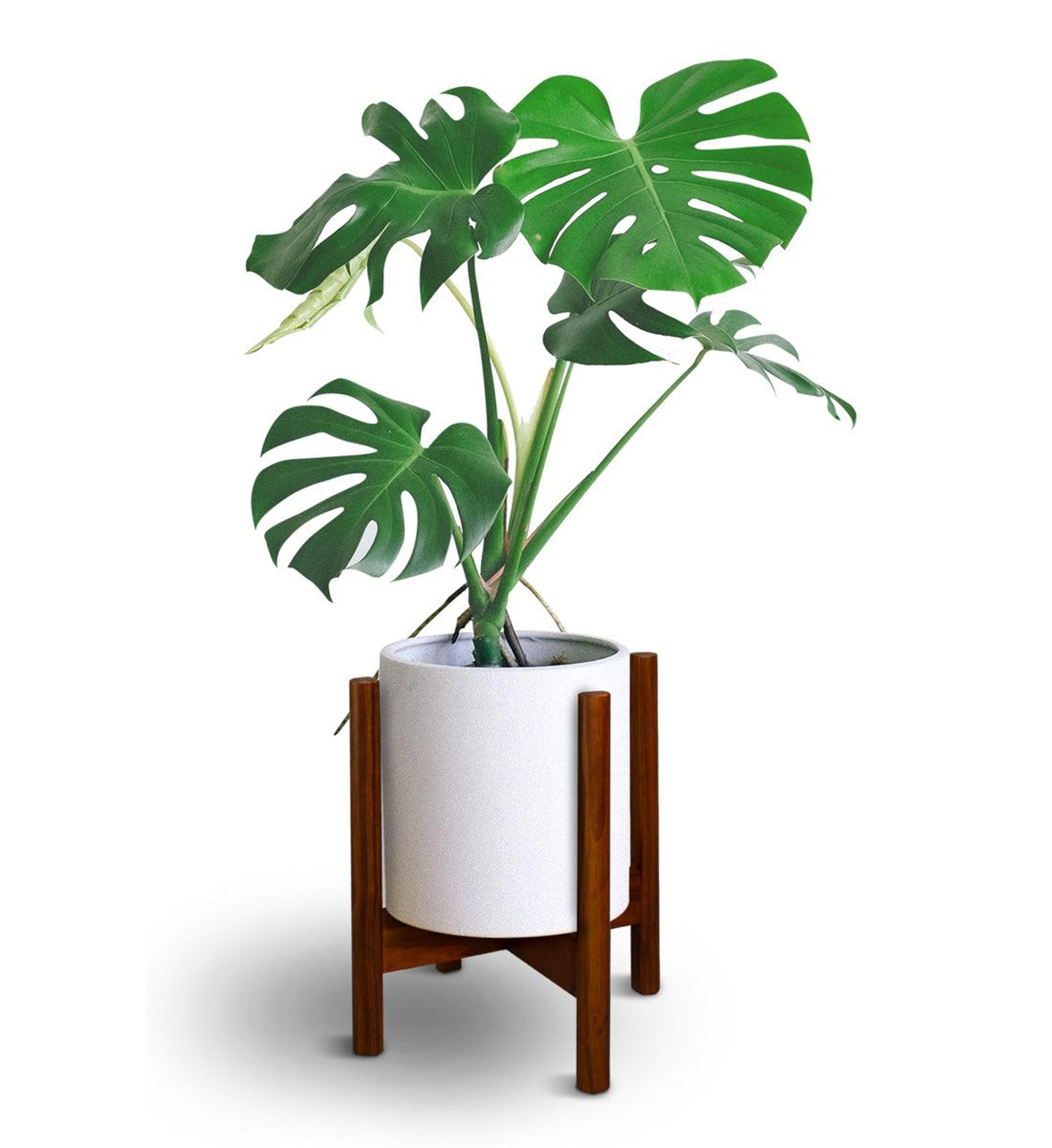 ogallala solid wood pine plant stand indoor boho pedestal
