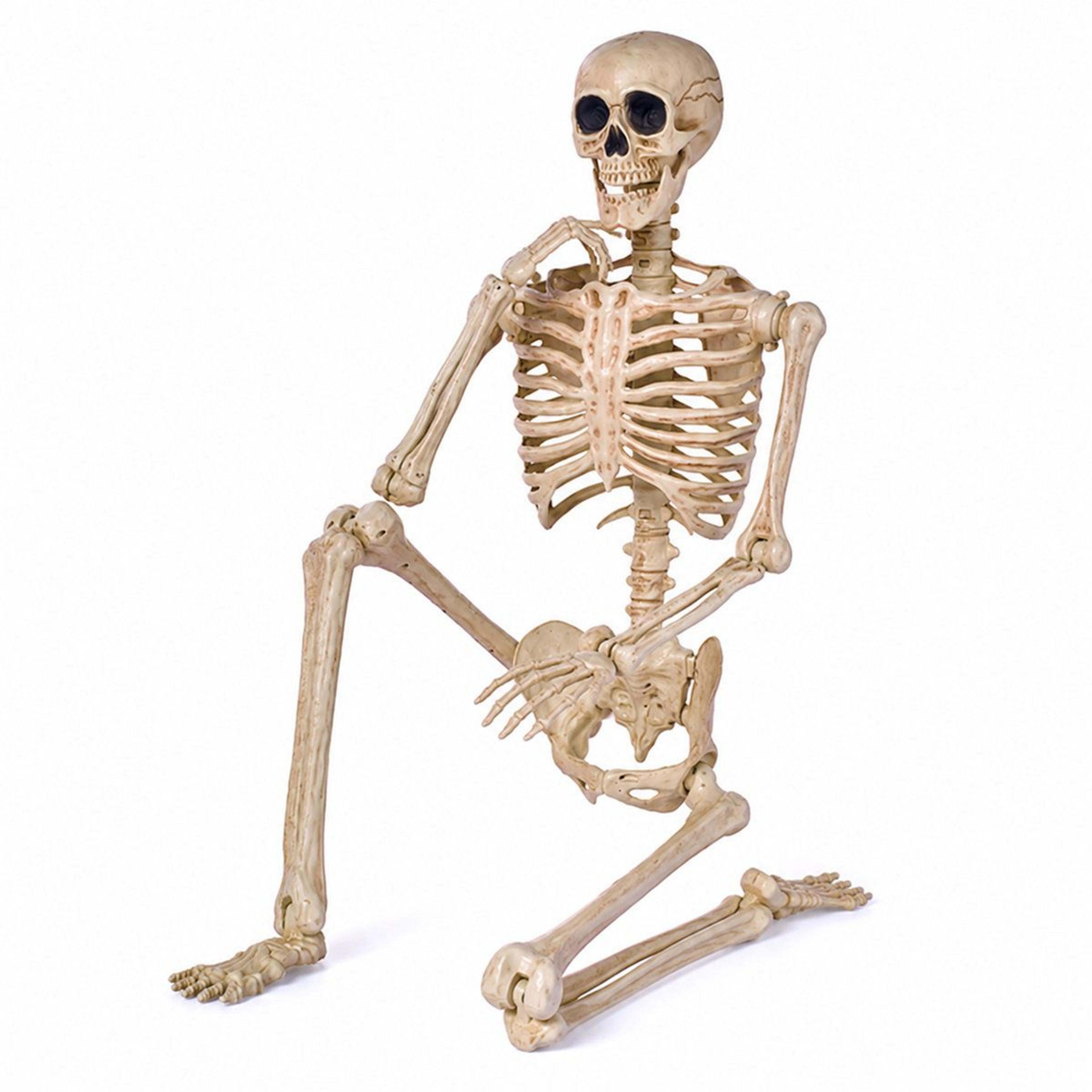 5 ft posable pirate skeleton halloween life size decoration with eyepatch and bandana