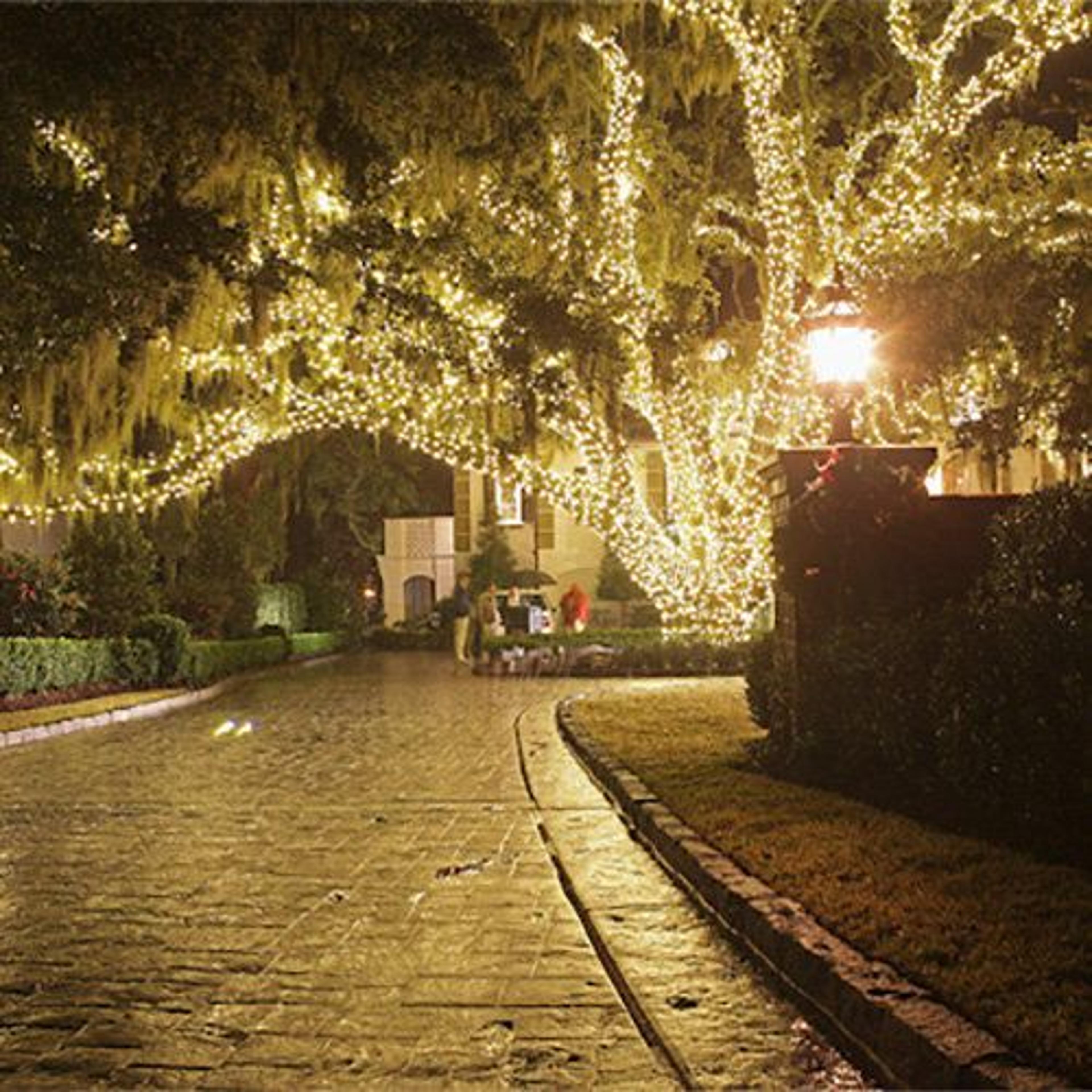 solar powered 100 led string lights with warm flashing and constant modes