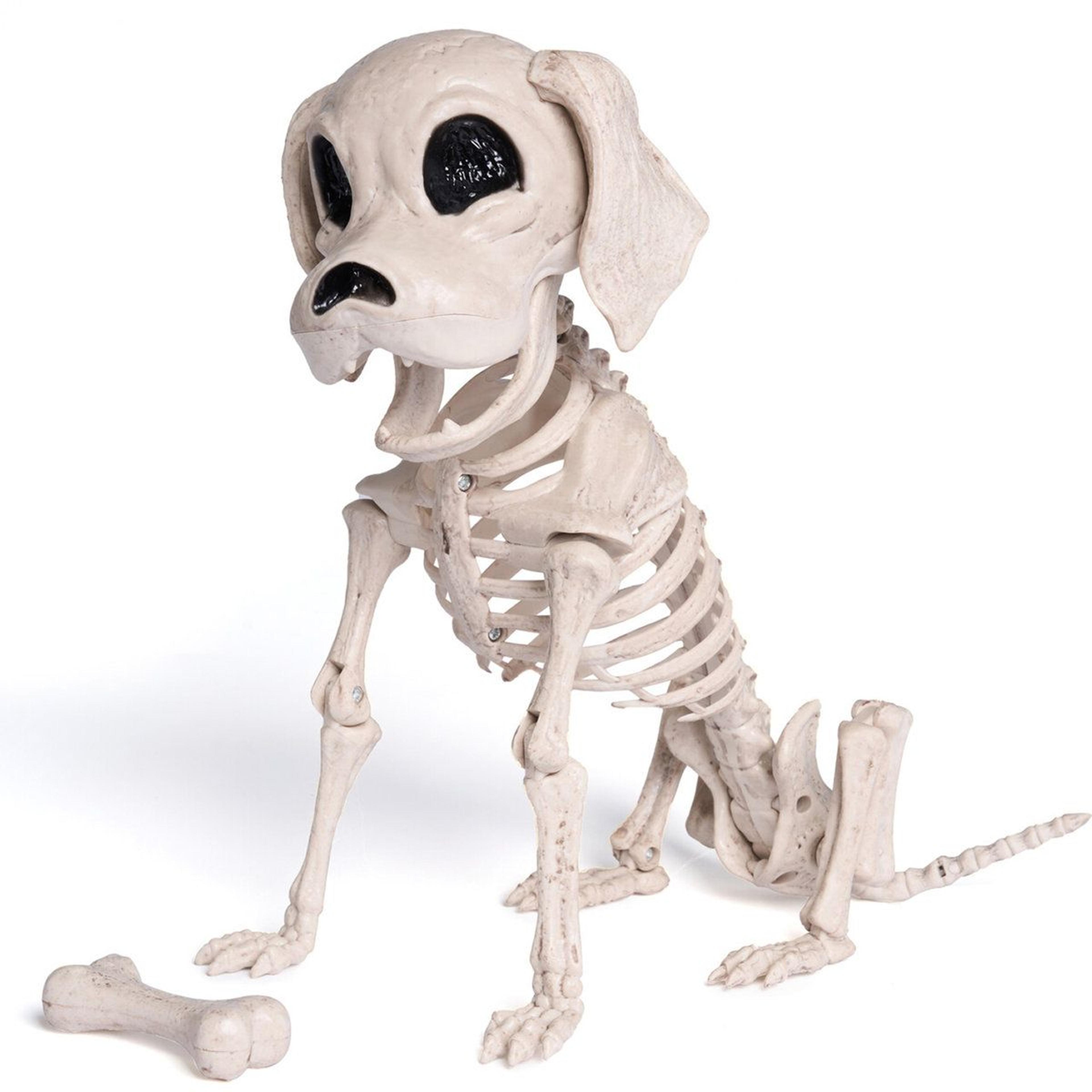 posable halloween dog skeleton full body weather resistant prop for spooky decor