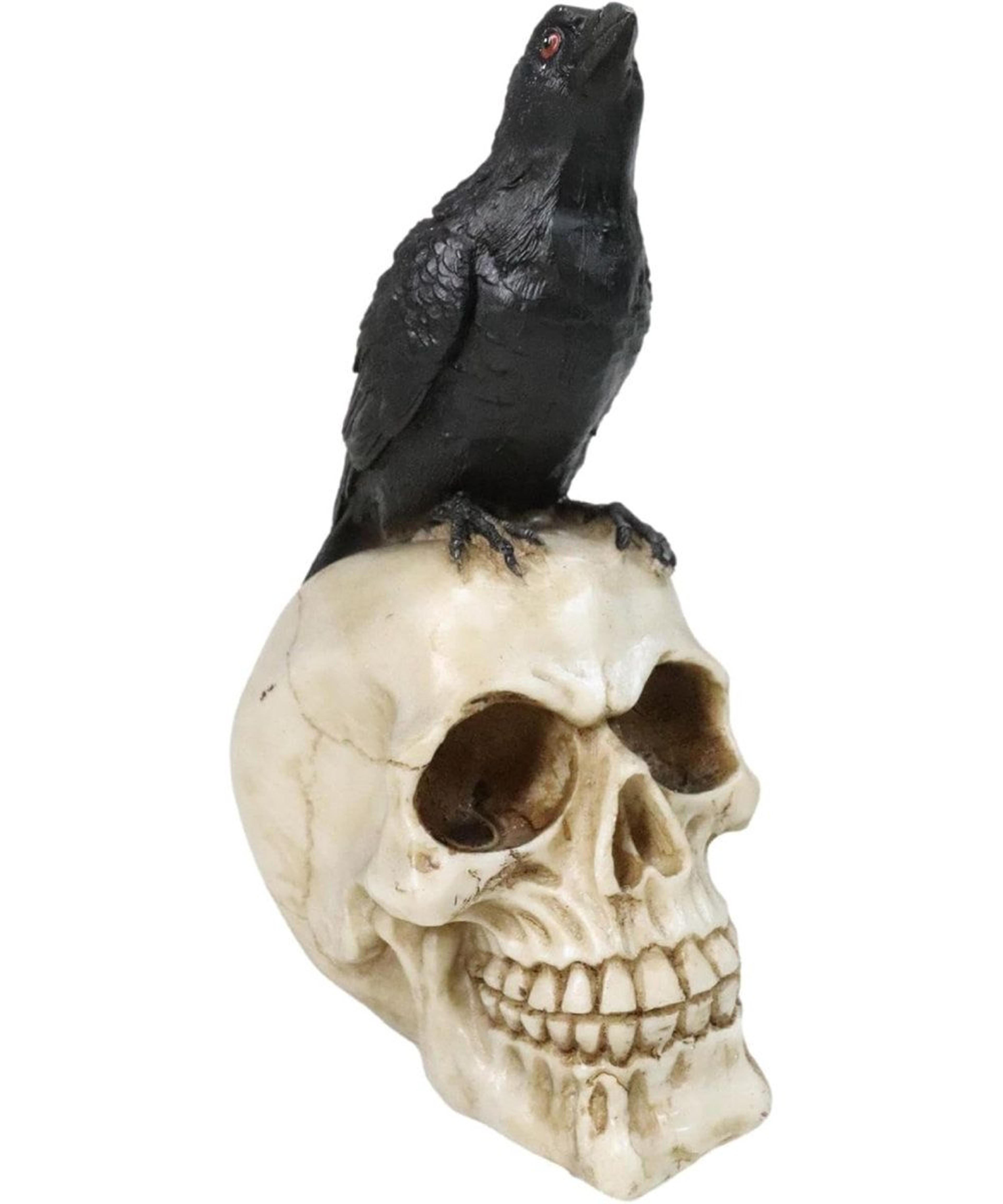 black raven on skull figurine – gothic norse mythology resin statue