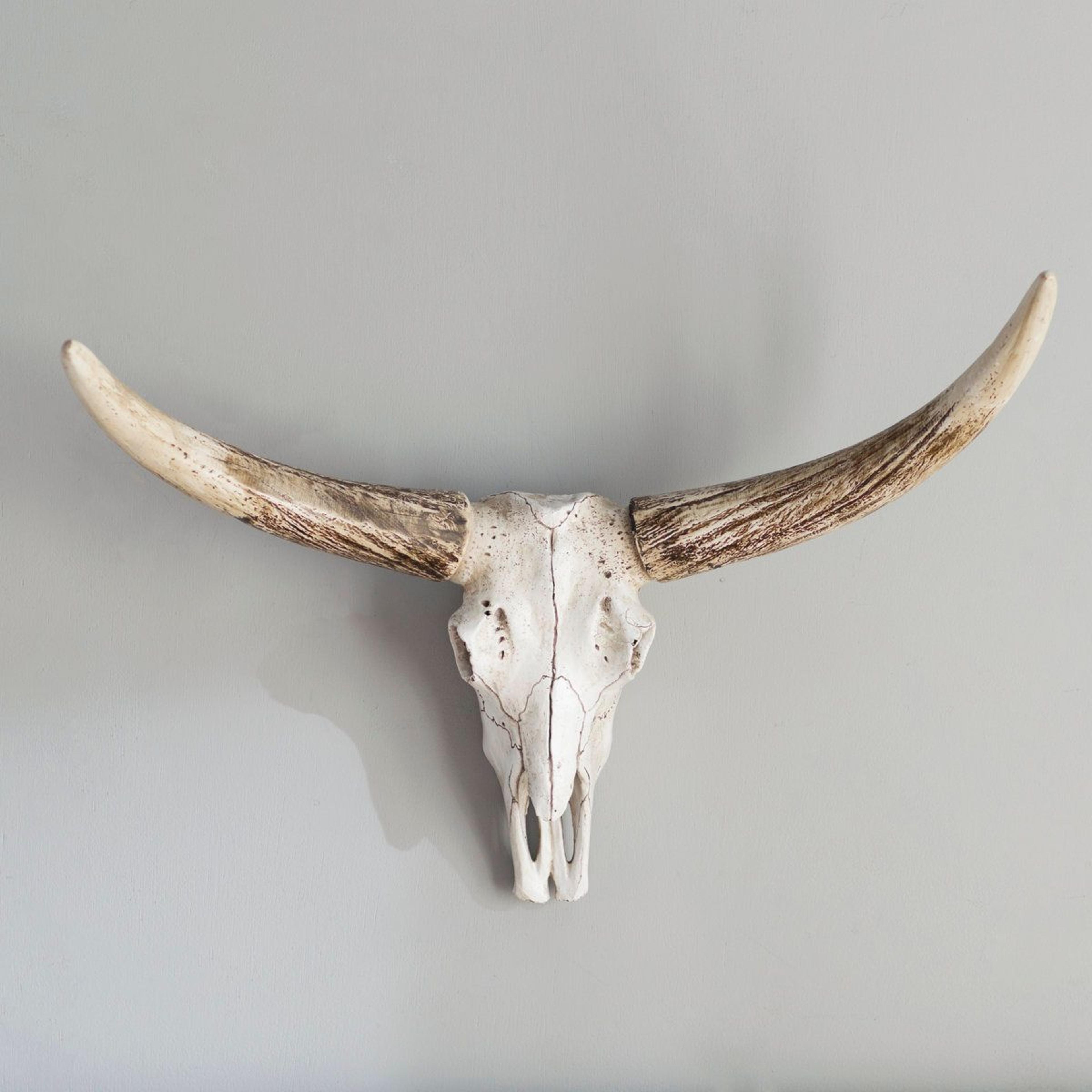 rustic steer skull wall decor resin sculpture with distressed finish