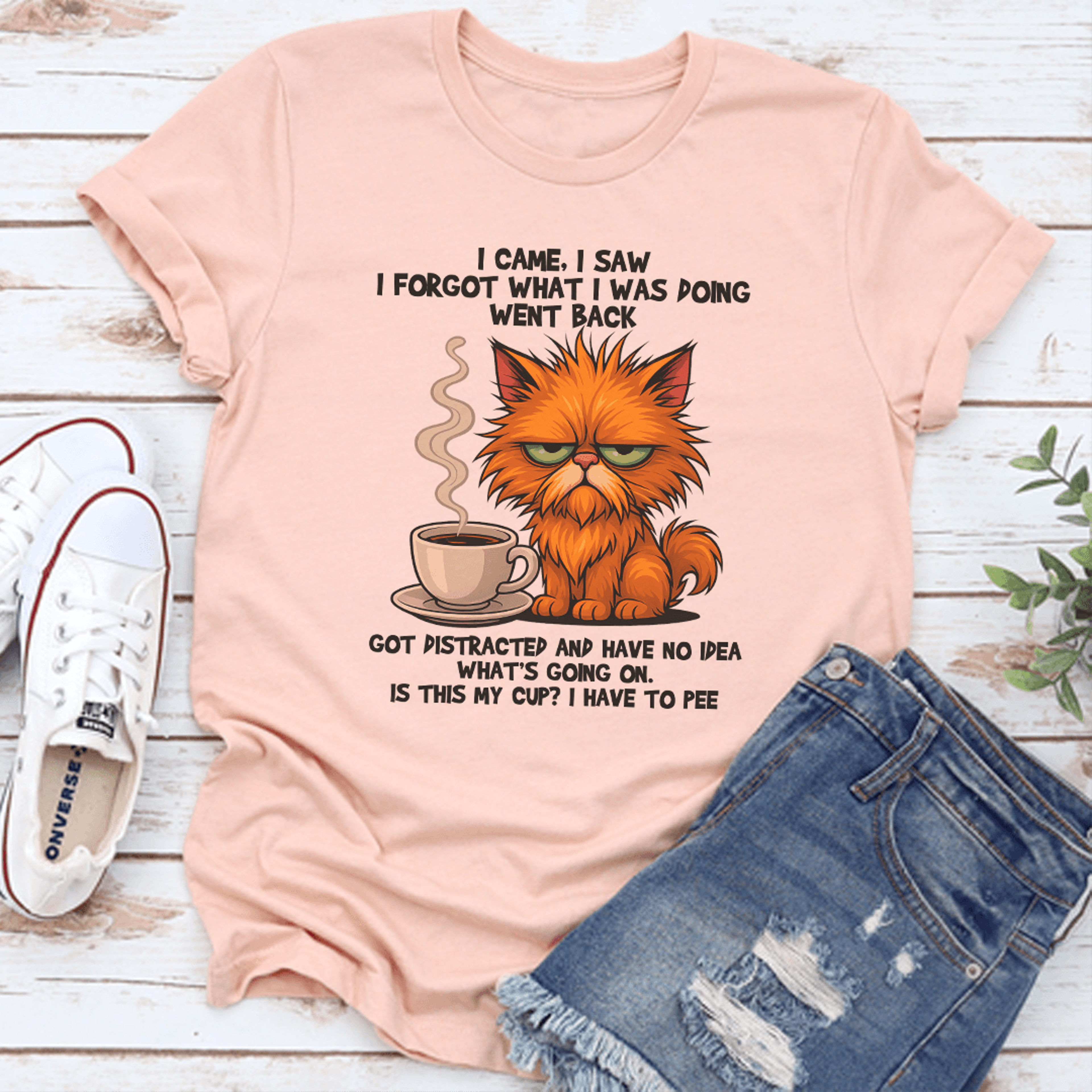 i came i saw i forgot what i was doing went back got distracted tee