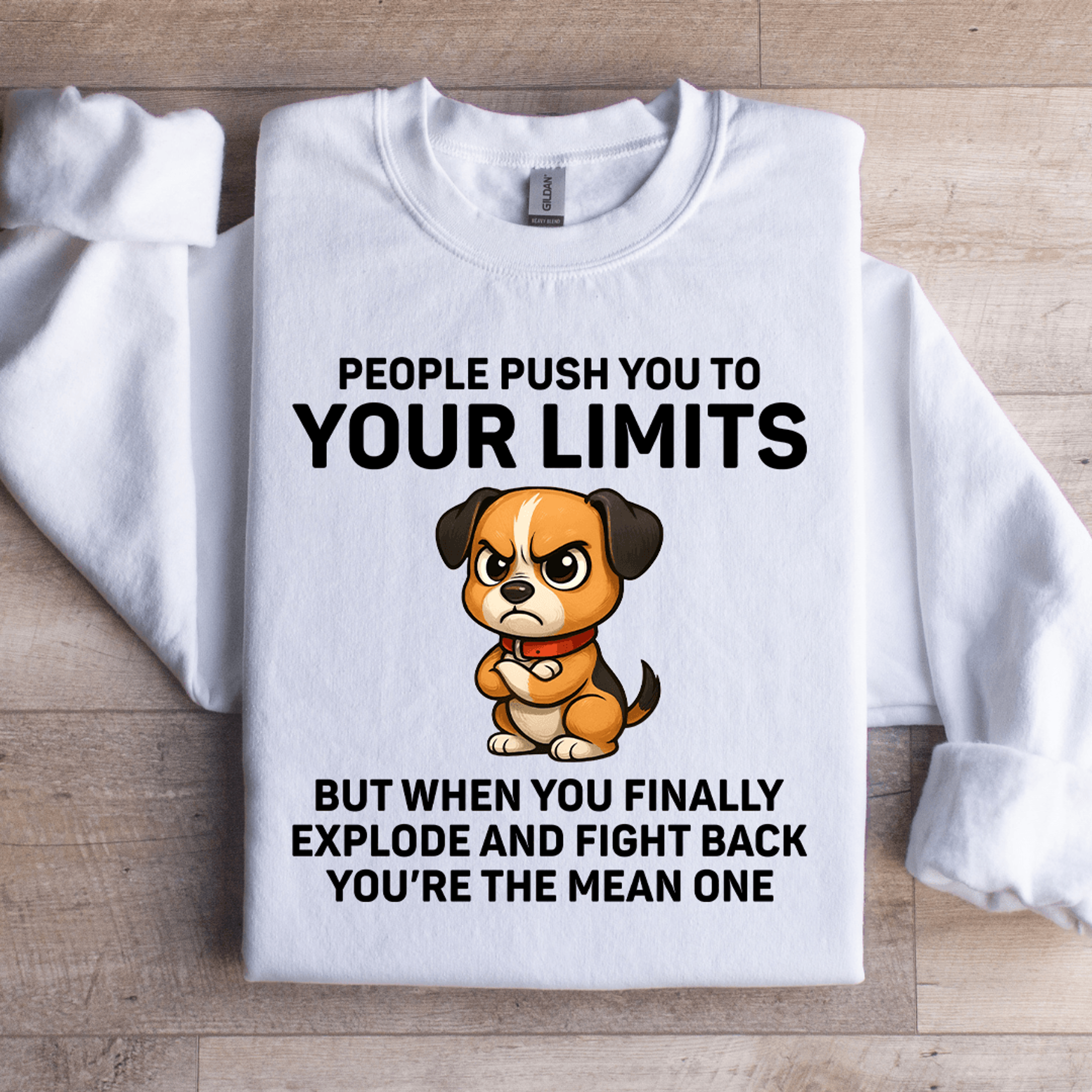 people push your limits sweatshirt