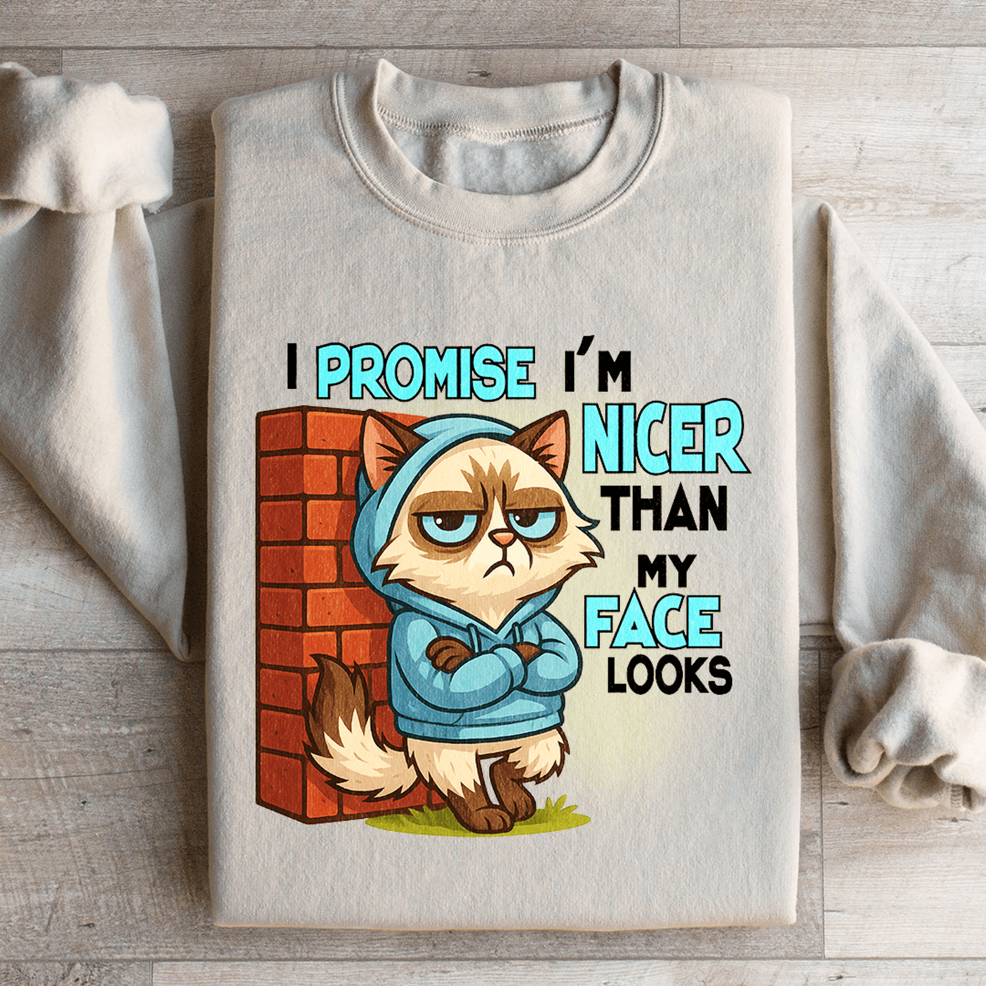 i promise i'm nicer than my face looks sweatshirt