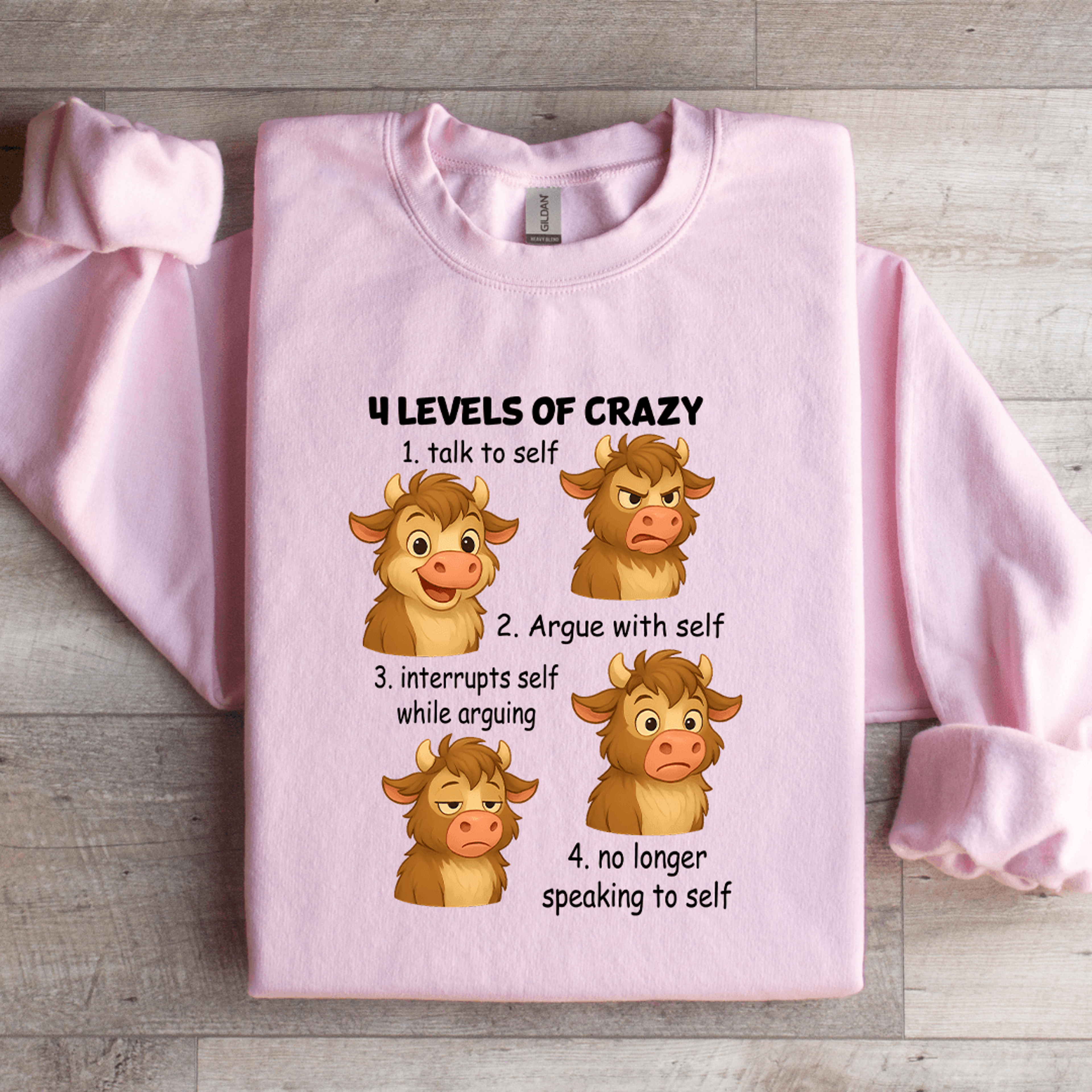 4 levels of crazy 1 talk to self sweatshirt
