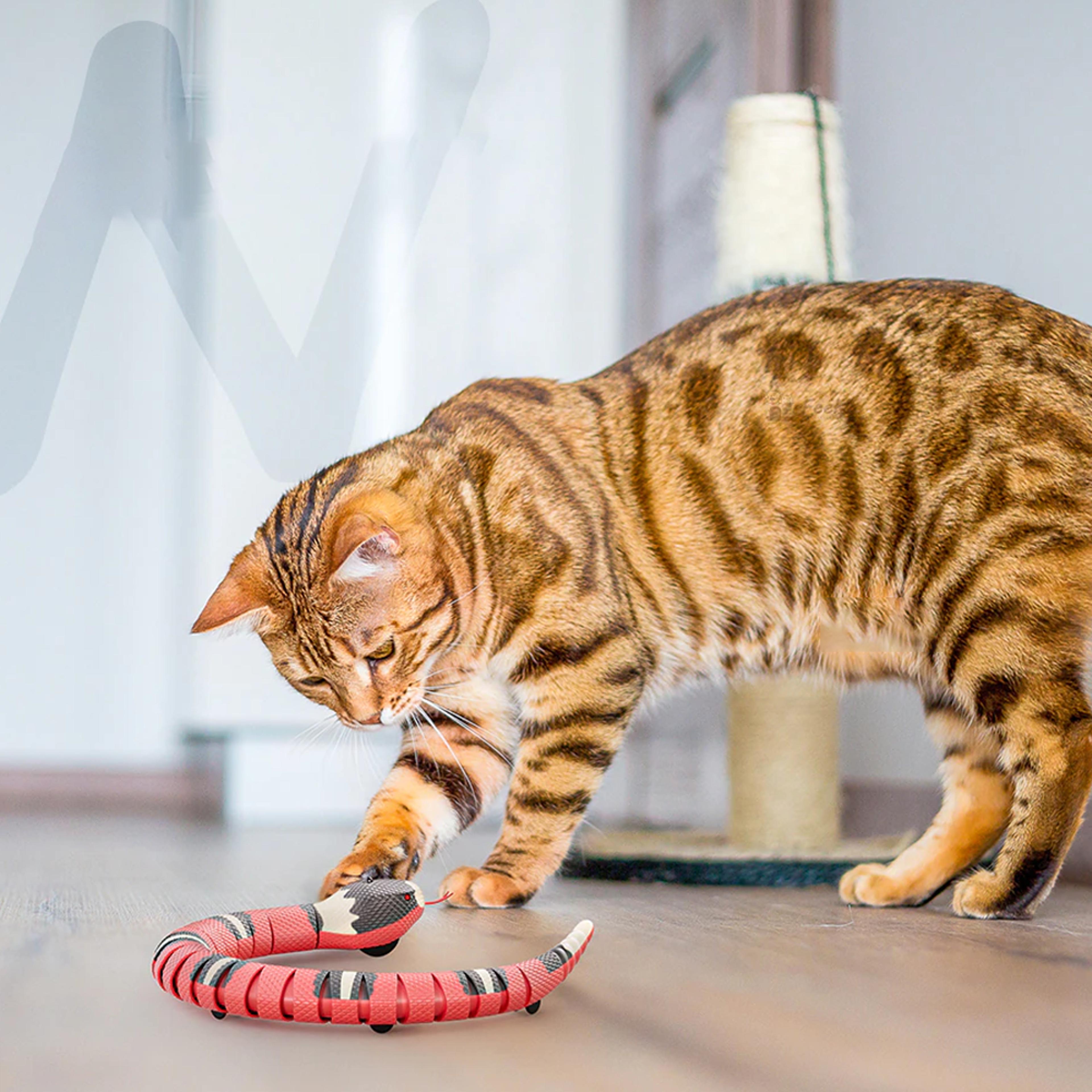 usb rechargeable smart sensing snake toy for cats -the perfect gift for cats