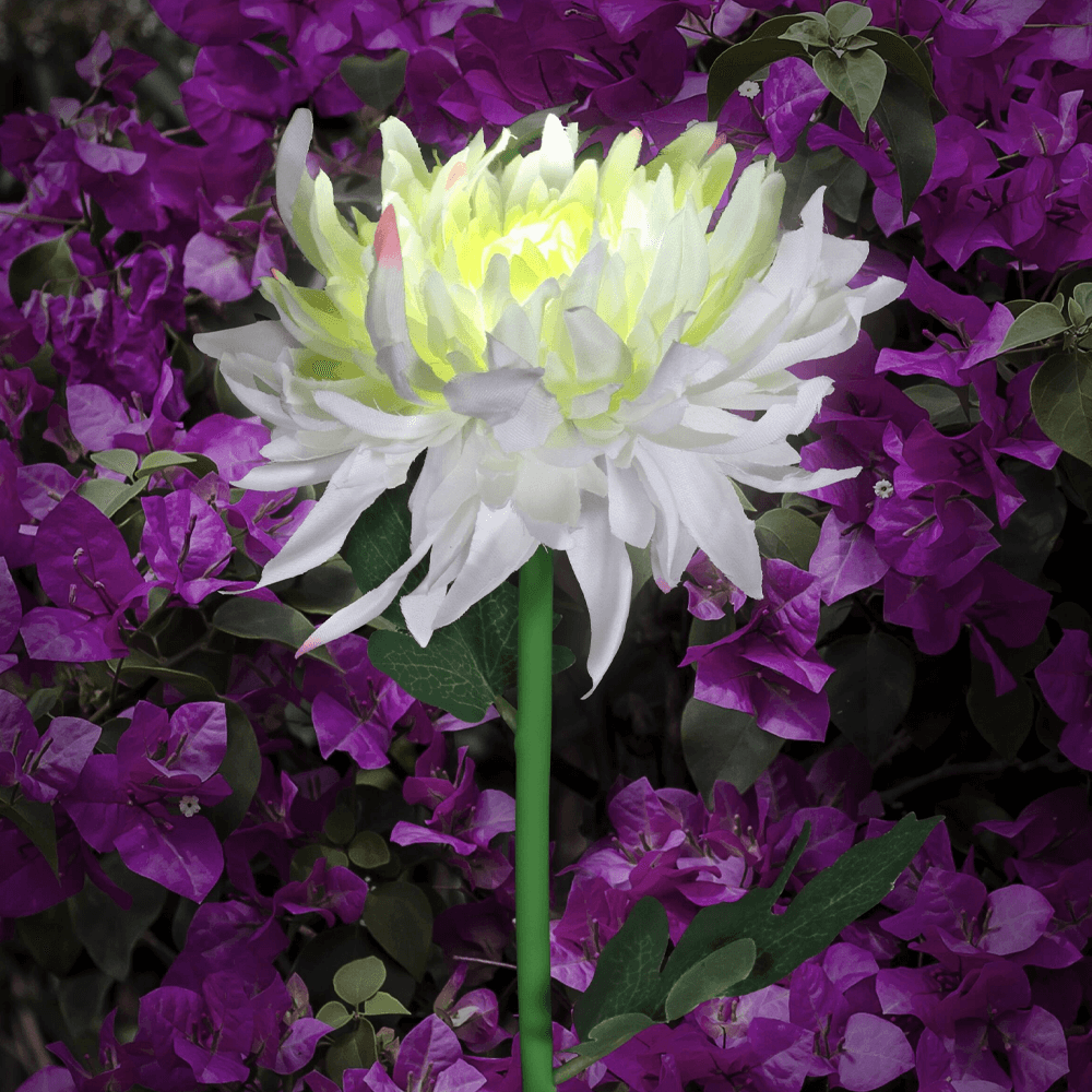 chrysanthemum solar garden stake led