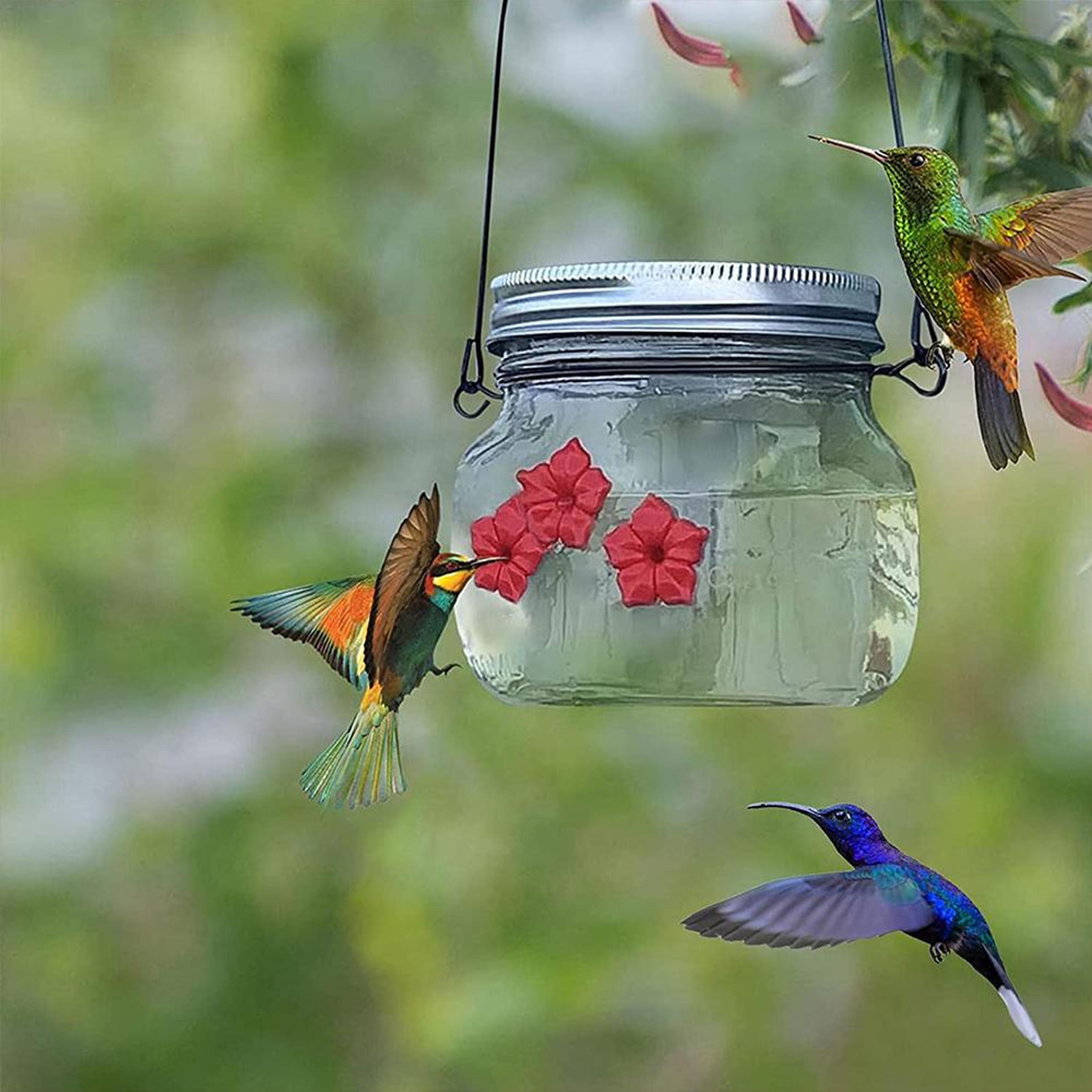 mason jar hummingbird feeder