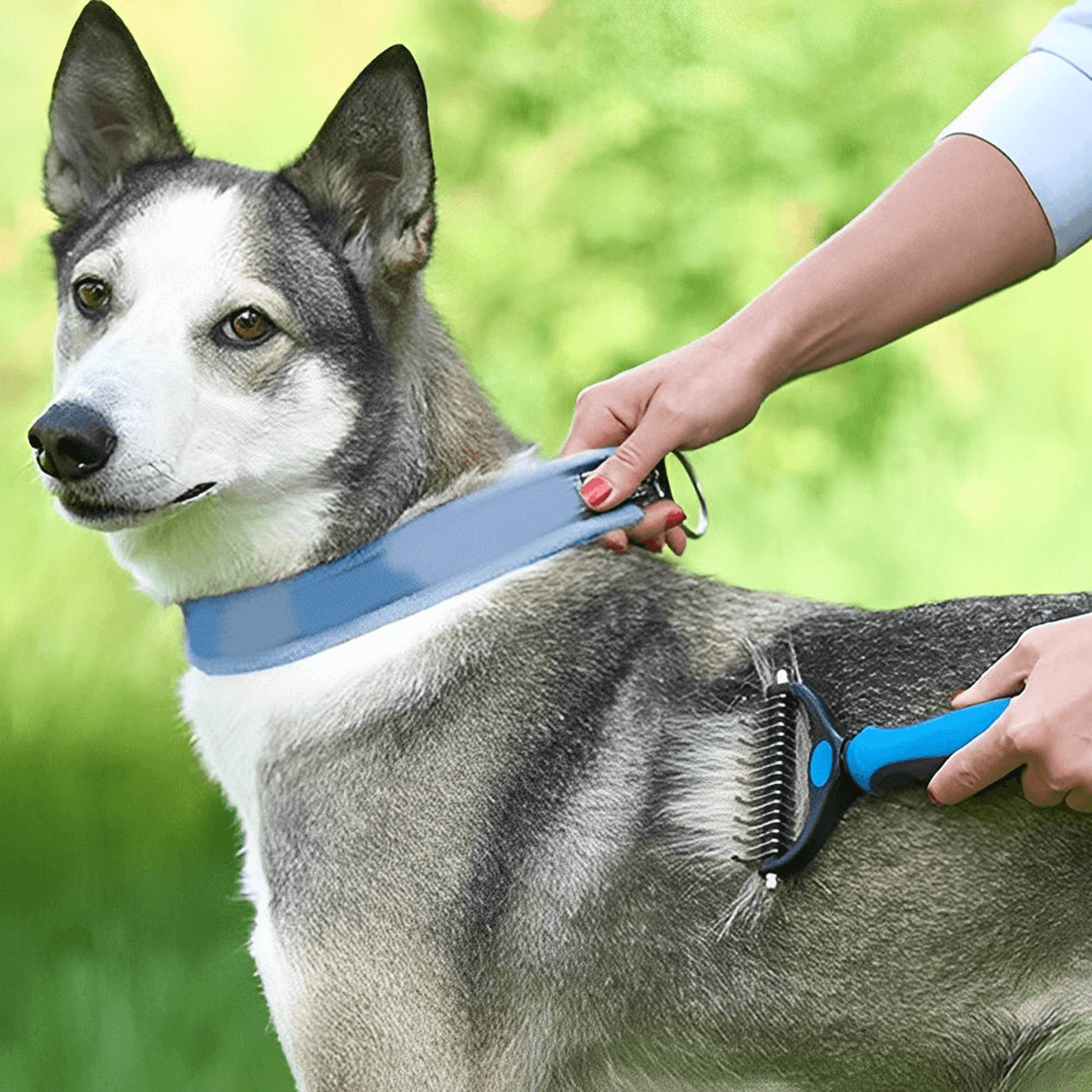 pro grooming brush