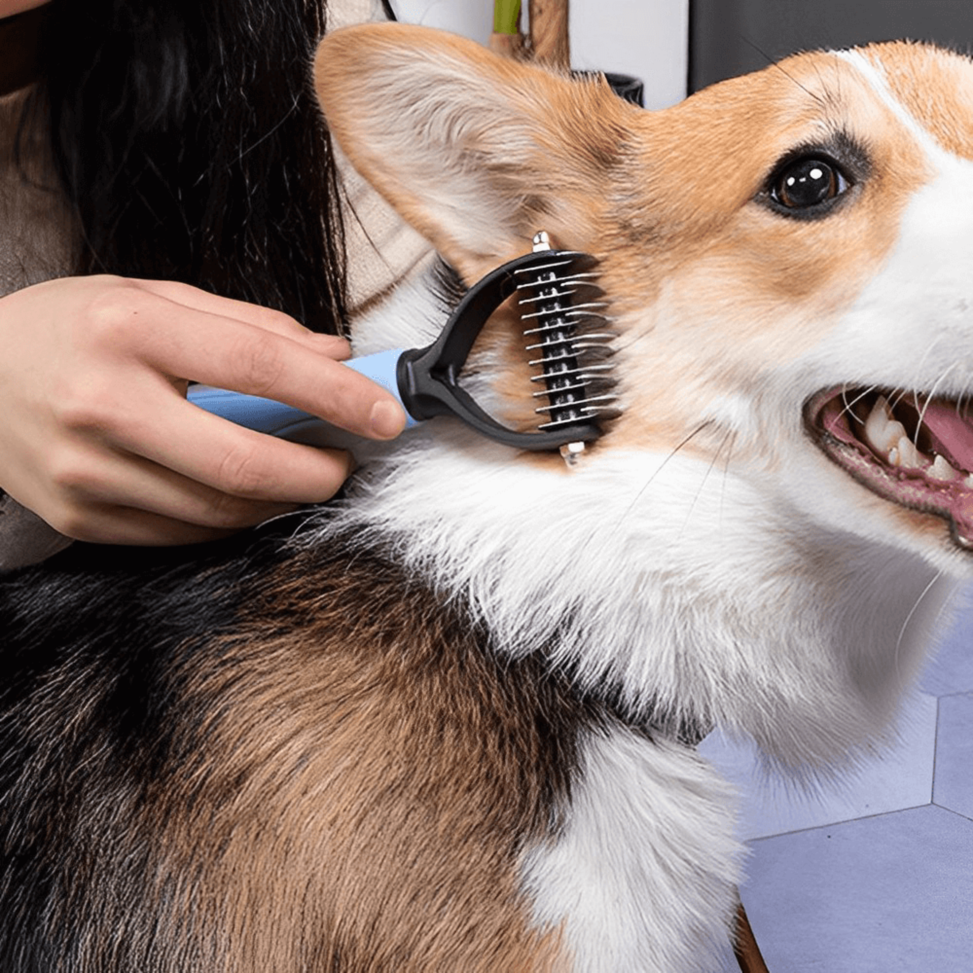 dematting comb for dogs