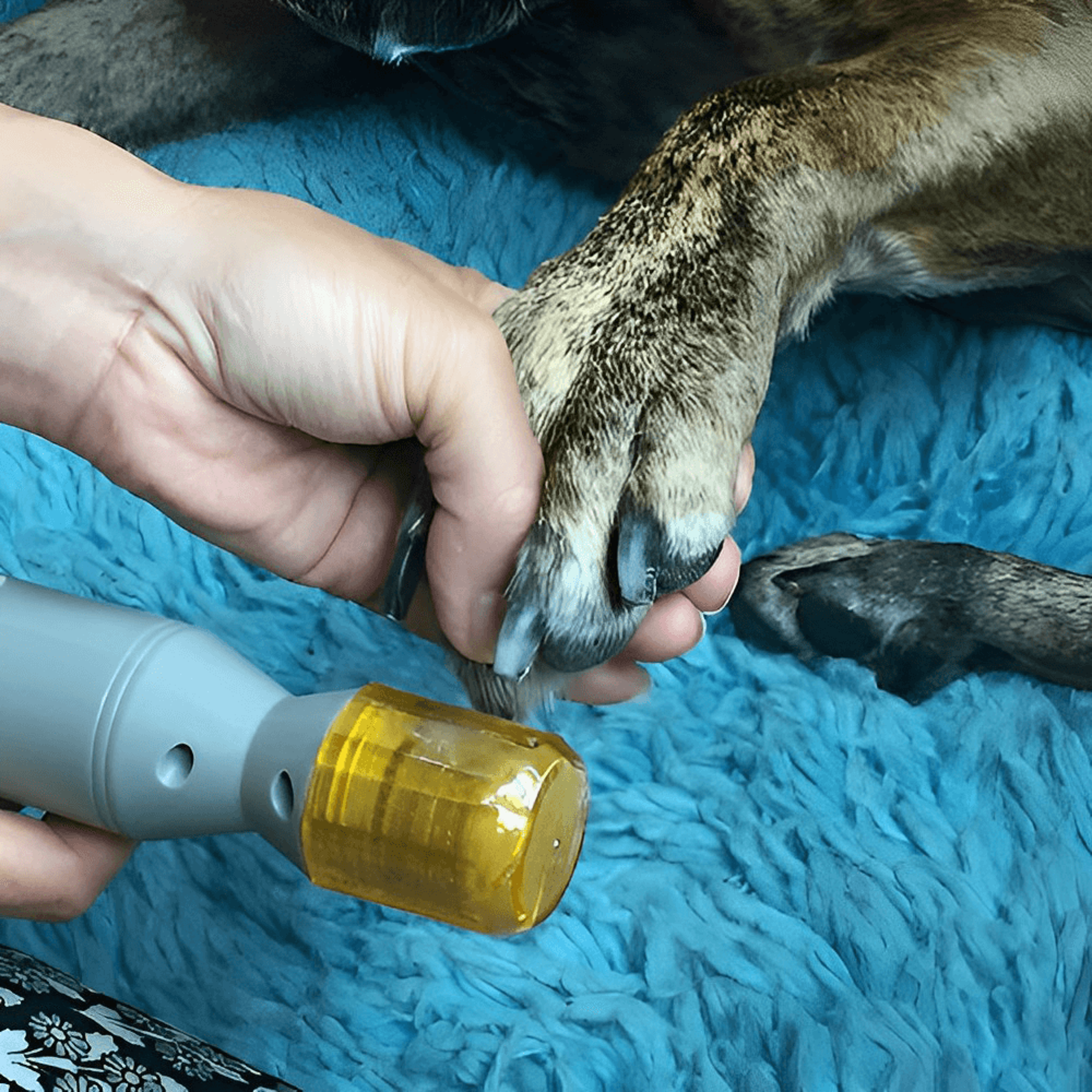electric pet nail clippers
