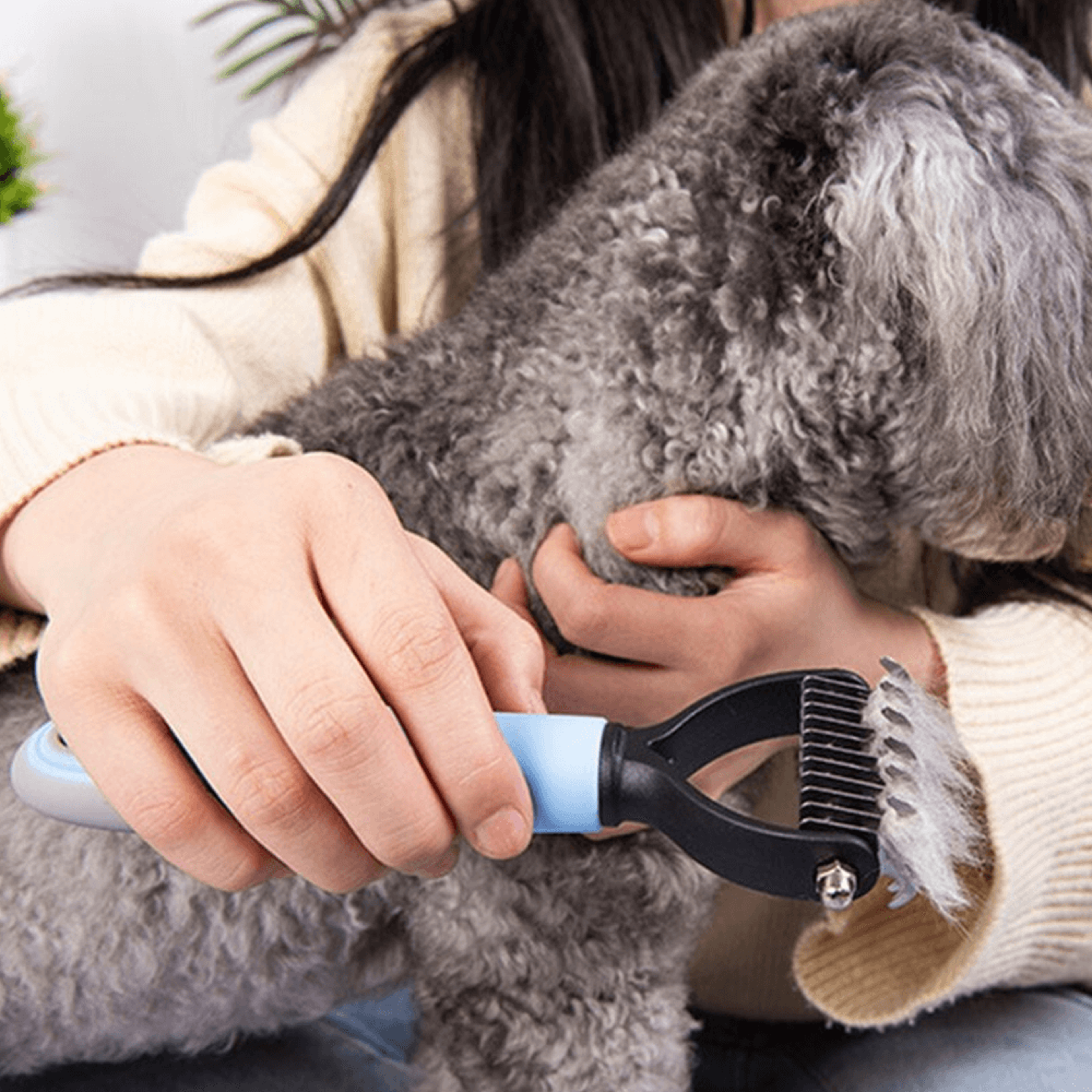 pet dematting comb