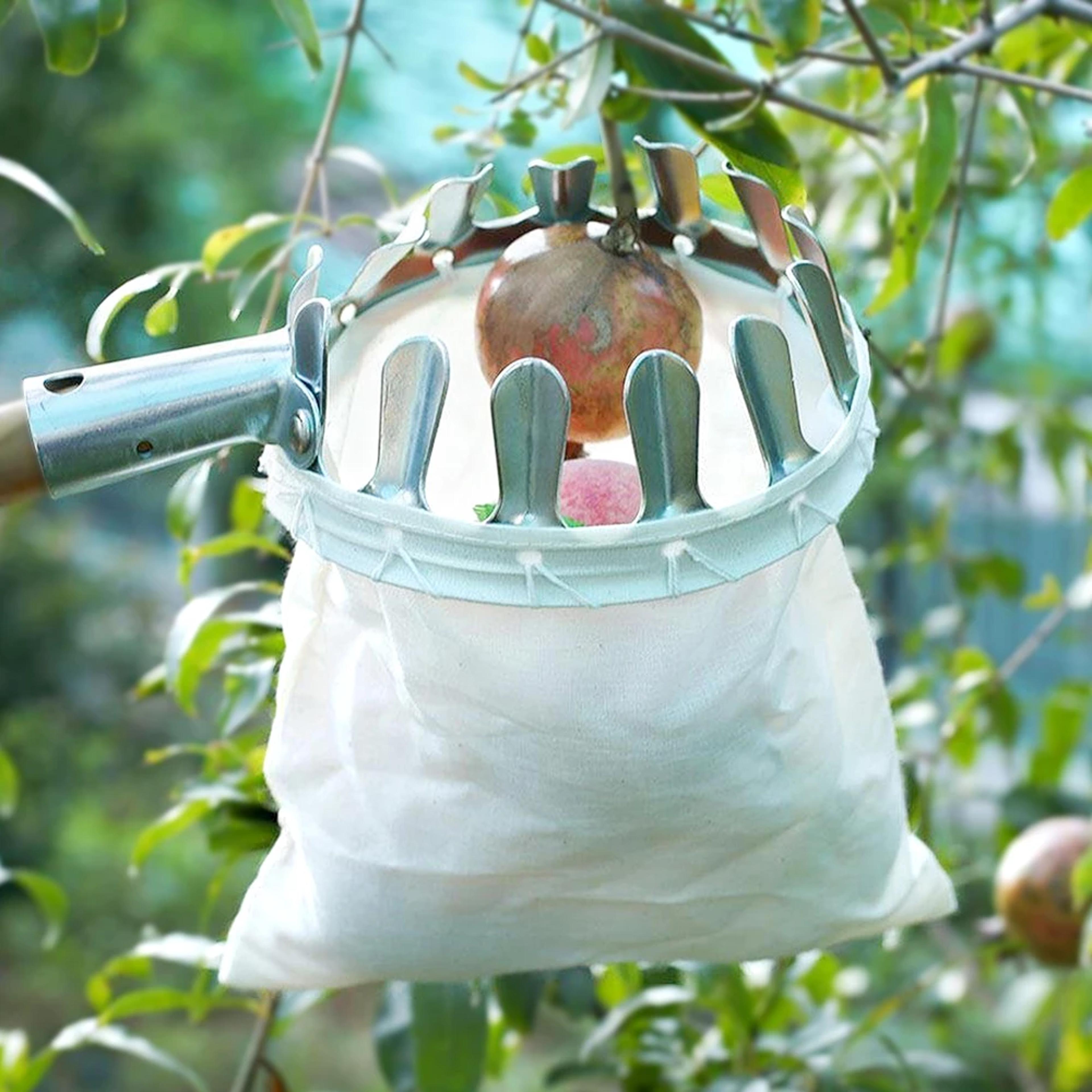 fruit picker head basket