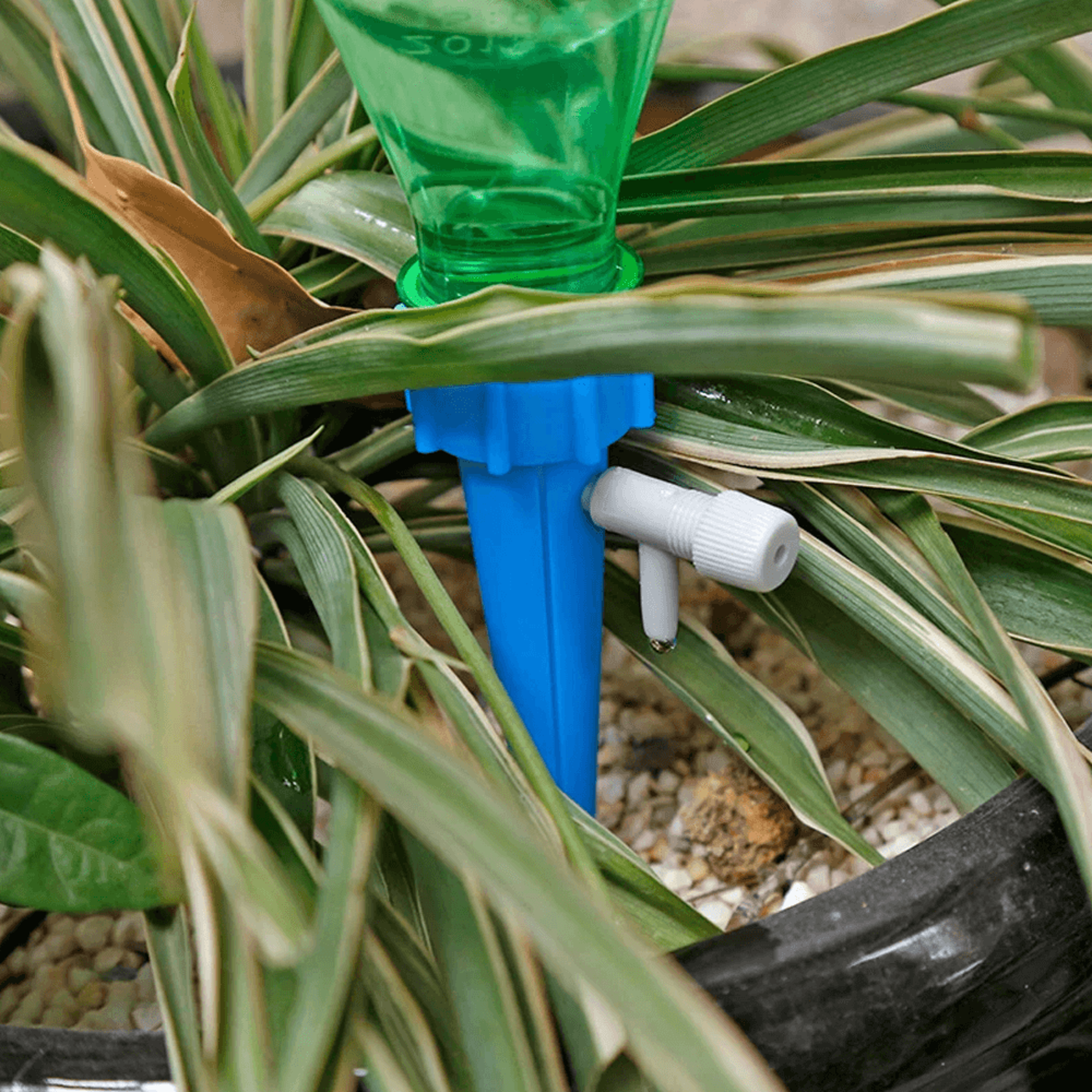 plant water funnel (12 pcs)