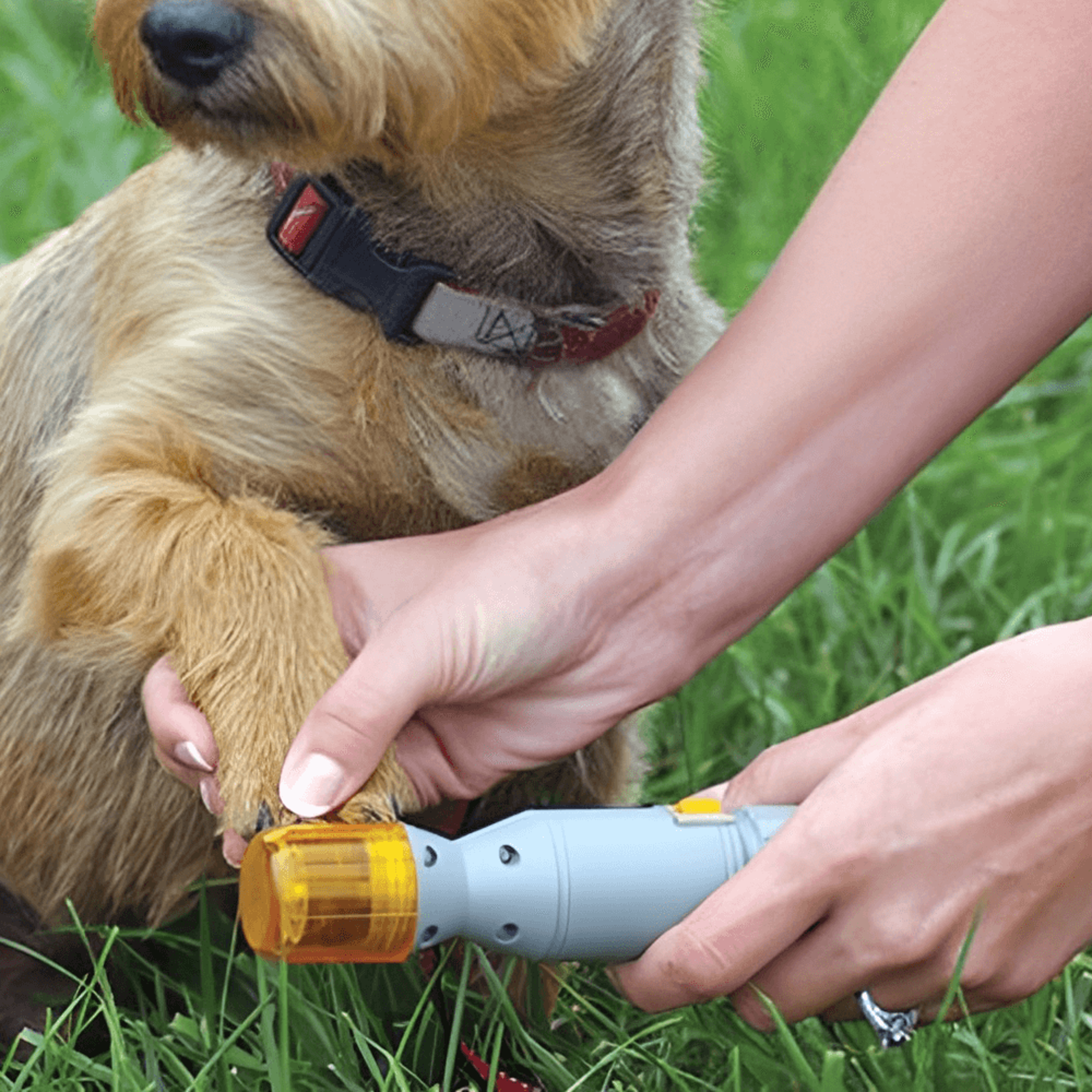 portable nail grinder for your cat & dog | hassle-free painless dog nail clipper | battery-powered pet nail trimmer