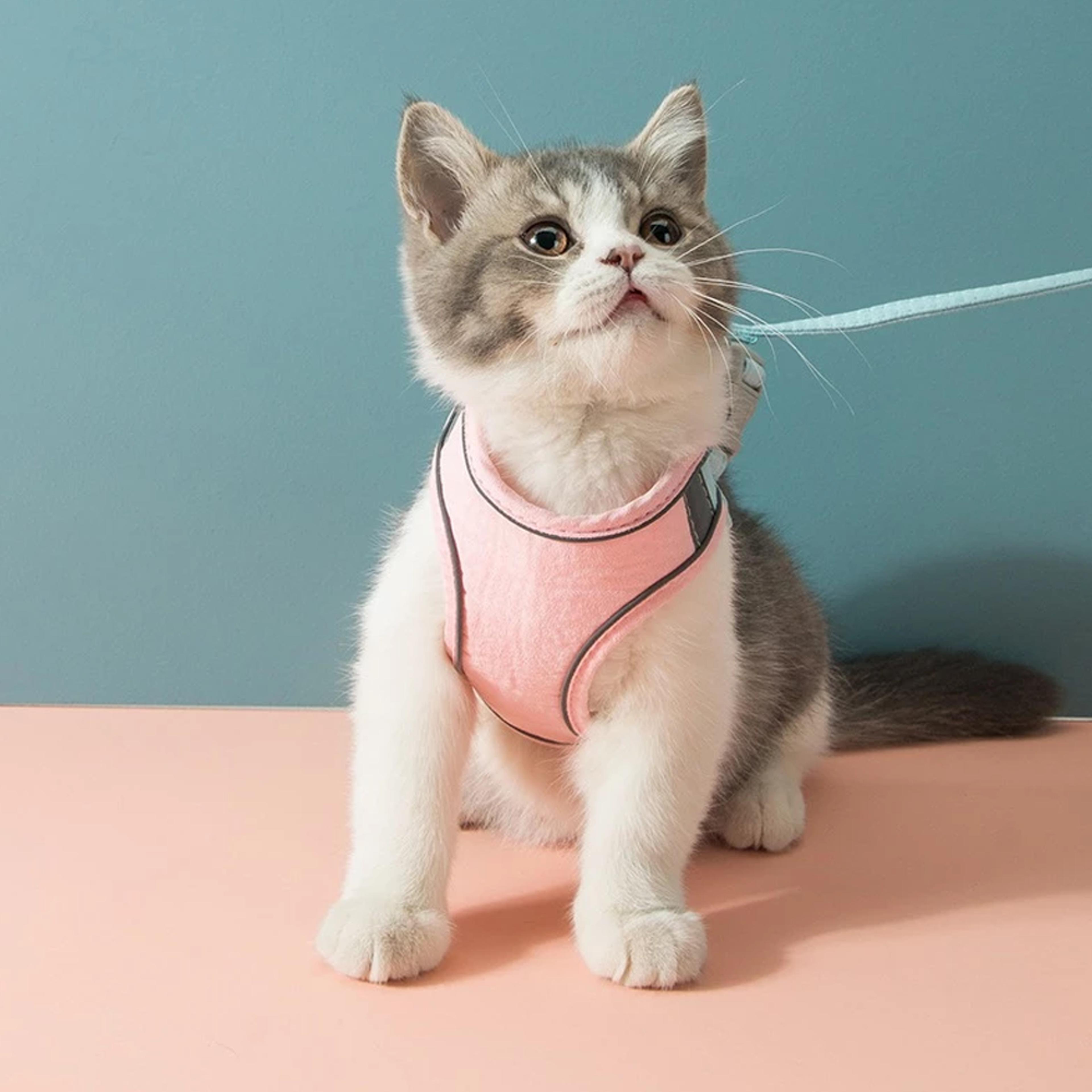 glow-in-the-dark luminous adjustable cat vest harness & leash set: keep your furry friend around