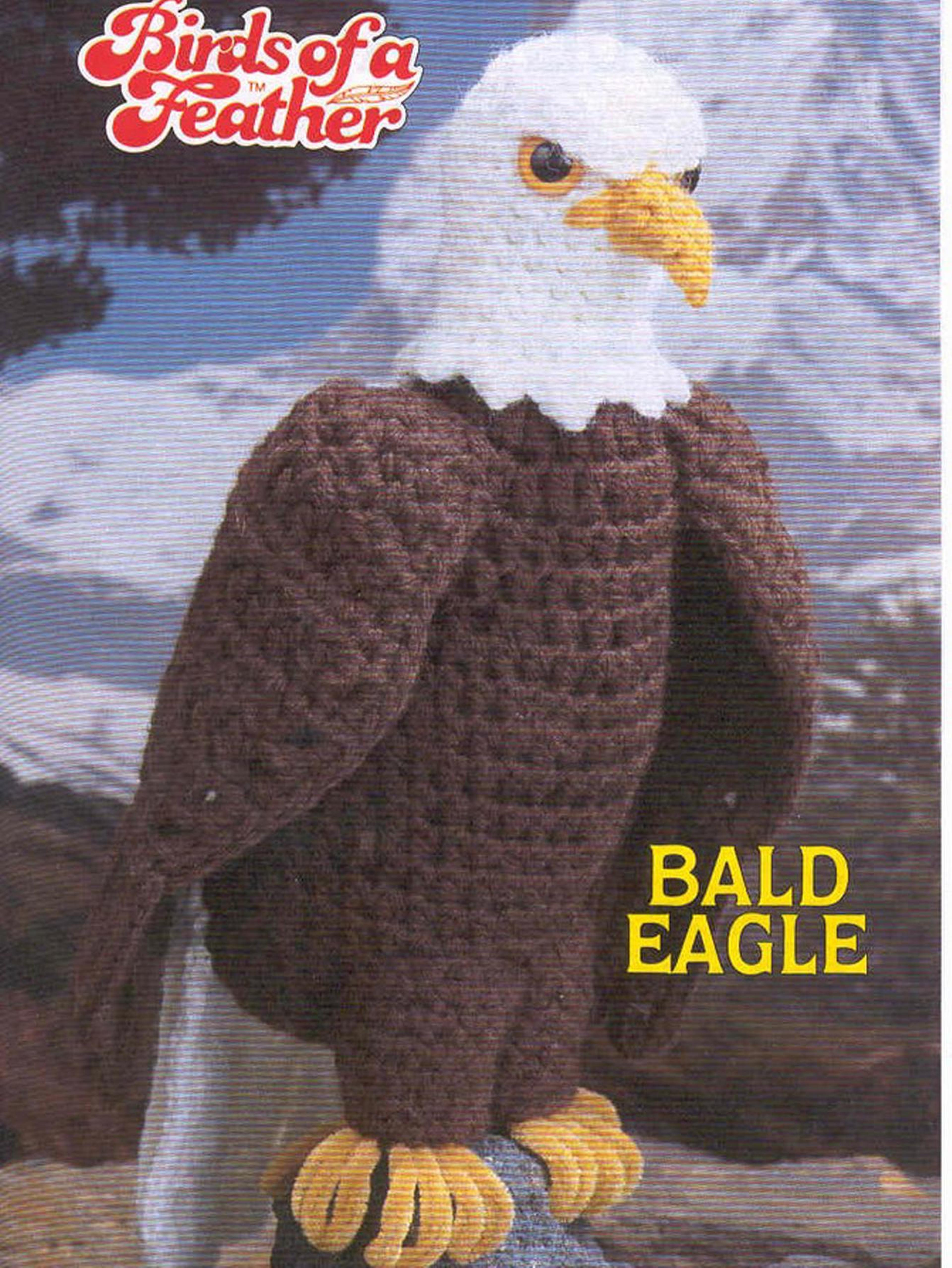 crochet eagle pattern, 15 inch tall - bird stuffed toy vintage patterns pdf instant download
