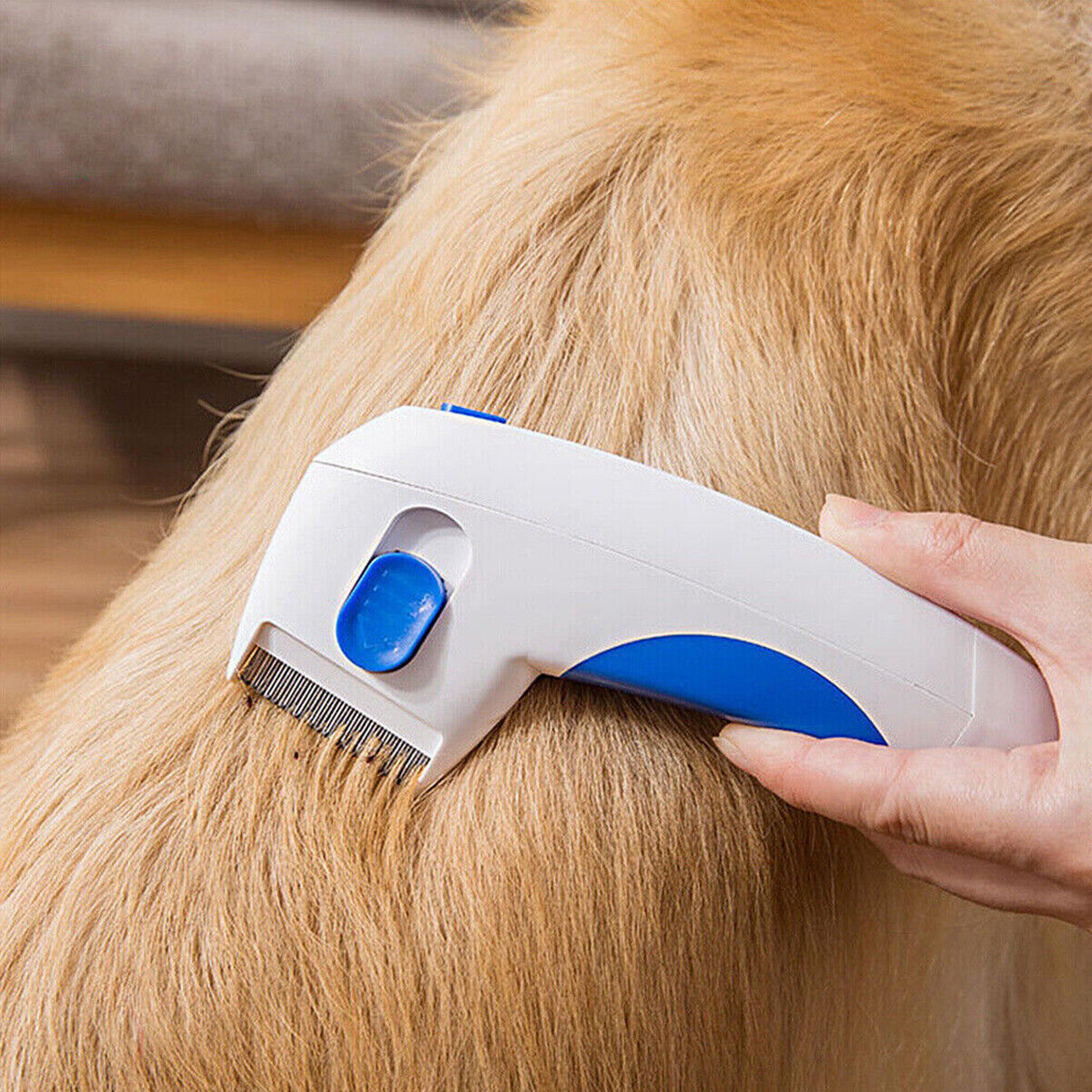 electric flea comb for dogs and cats