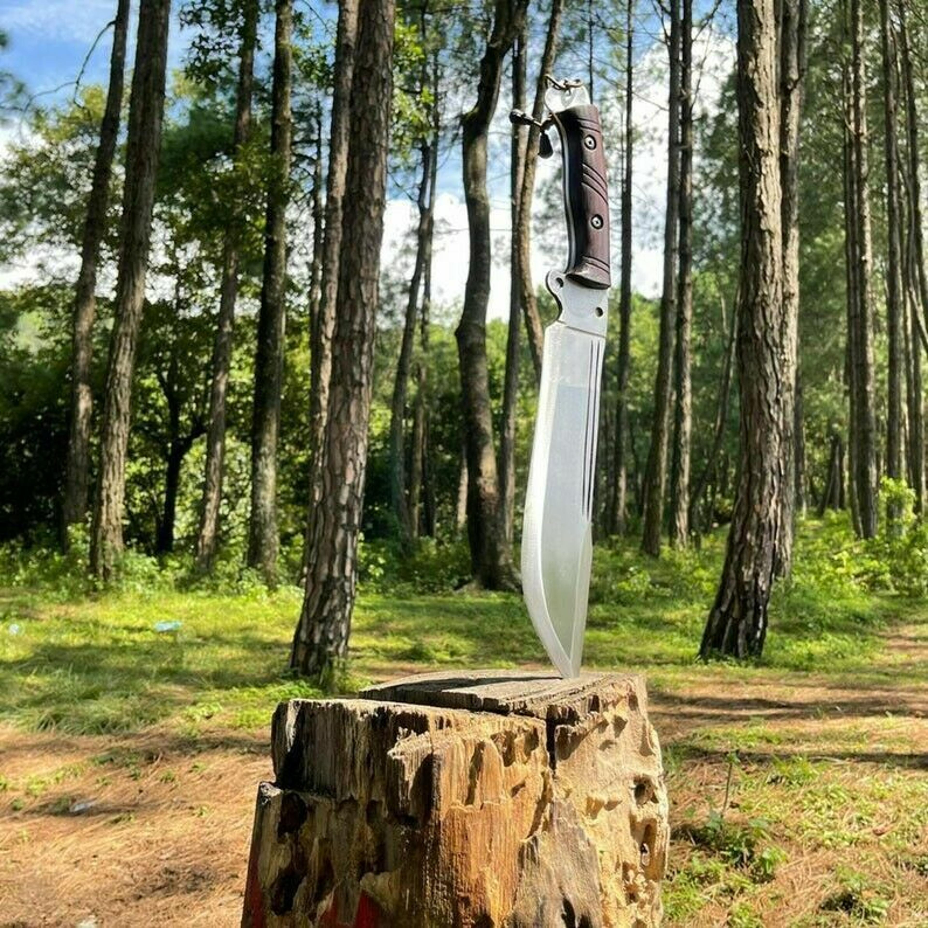 custom handmade carbon steel blade predator bowie knife | hunting | full tang