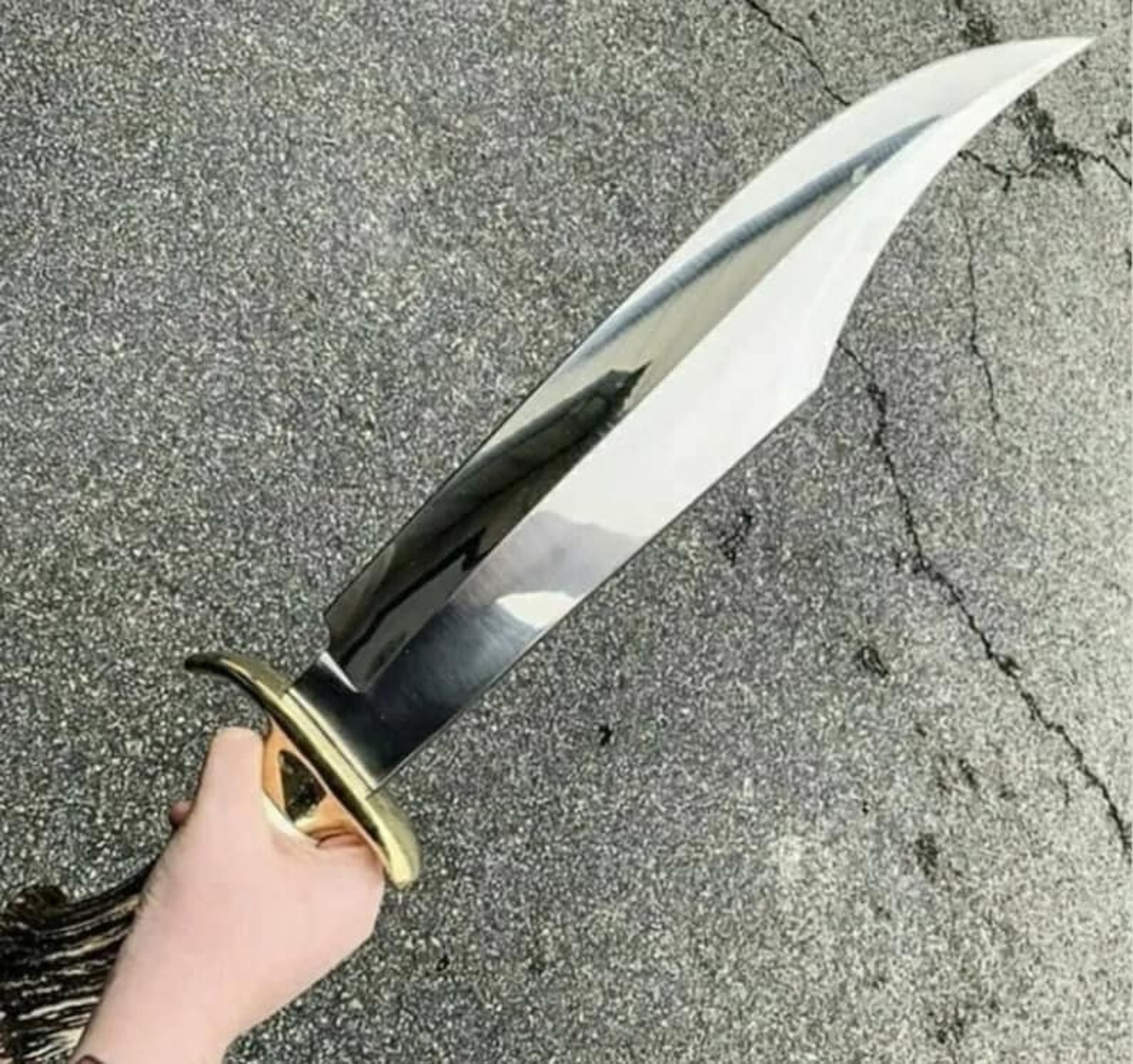 custom handmade d2 steel hunting bowie knife with stag horn handle, gifts for men, gift for hunters, boyfriend gift, ann