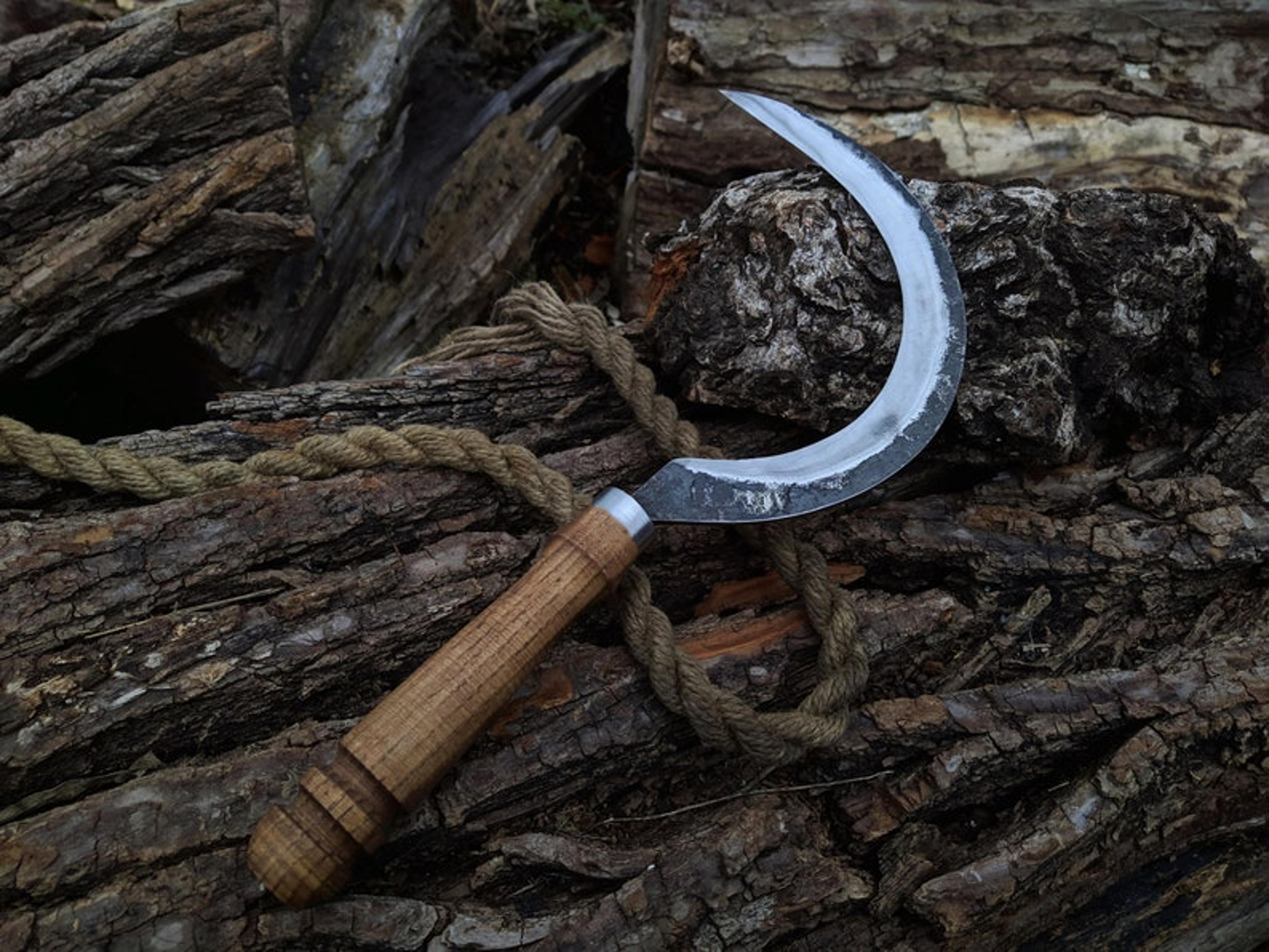 big handmade forged sickle. the tool for herbalism. forged braid handmade for collecting herbs. big boline ritual sickle