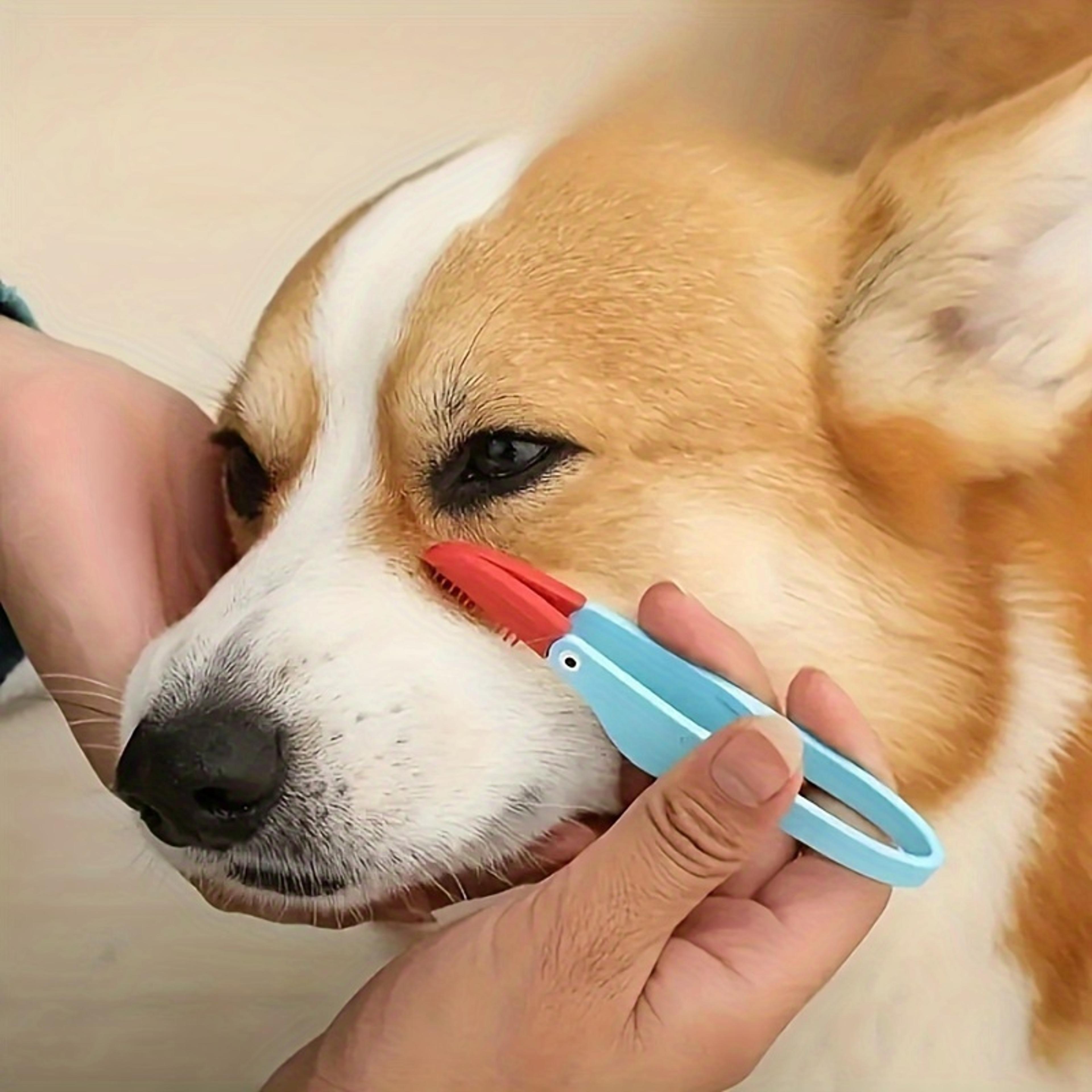pet tear stain remover comb gentle dog eye cleaning brush for pet grooming