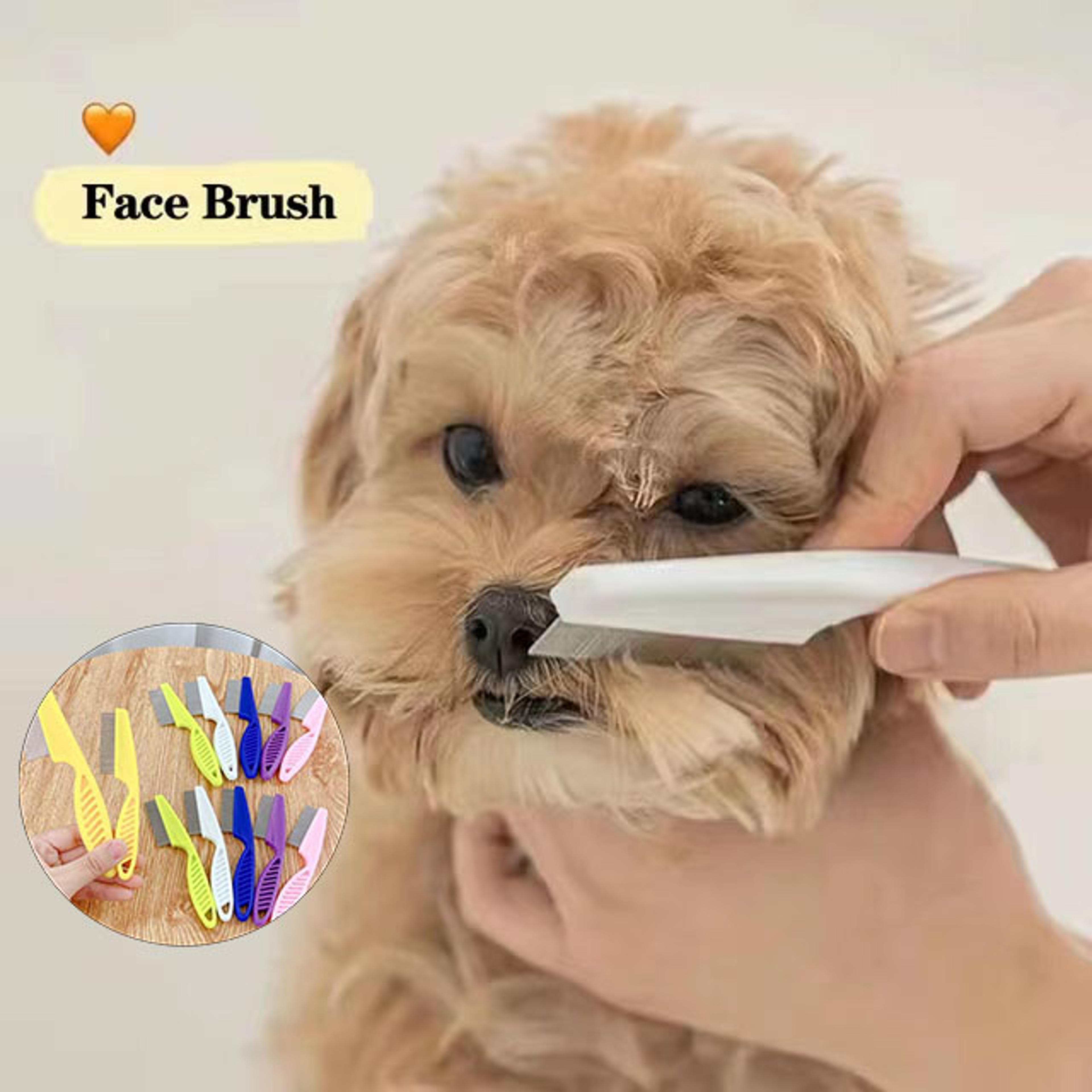 pet hair shedding comb stainless steel flea comb for cat and dog grooming