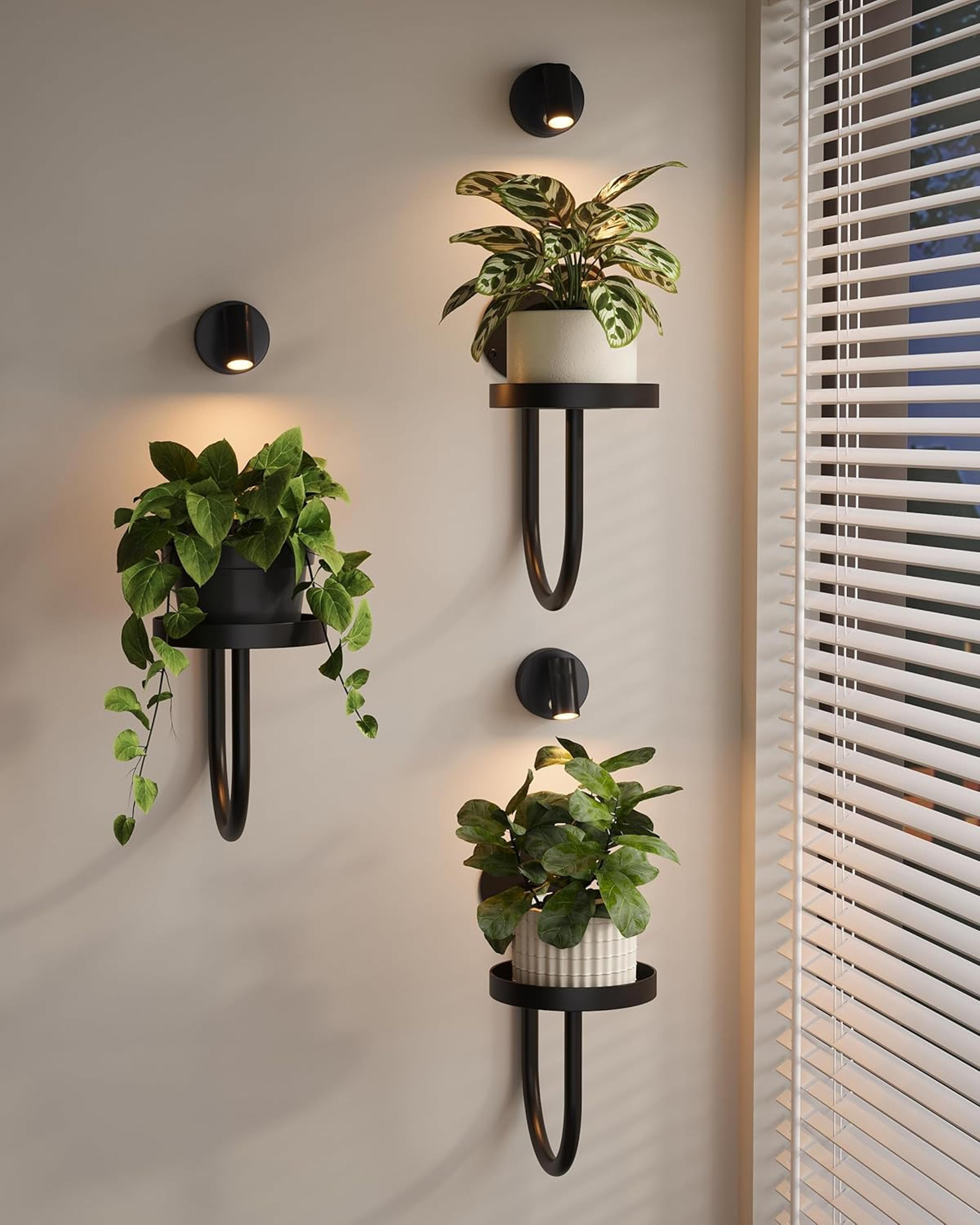 wall mounted indoor plant stand with led grow lights modern hanging planter for living room window decor black