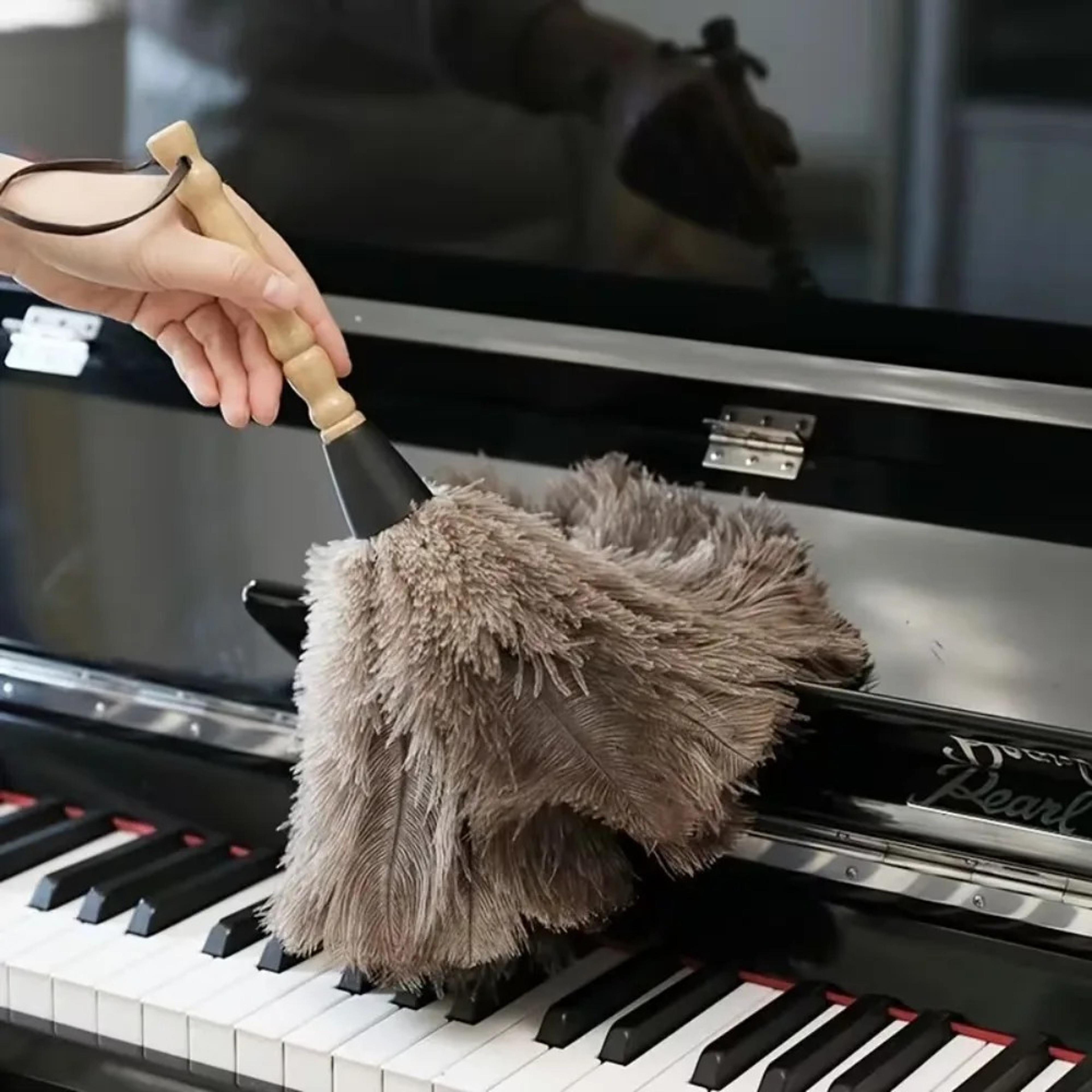 ostrich feather duster with wooden handle for gentle home and car cleaning