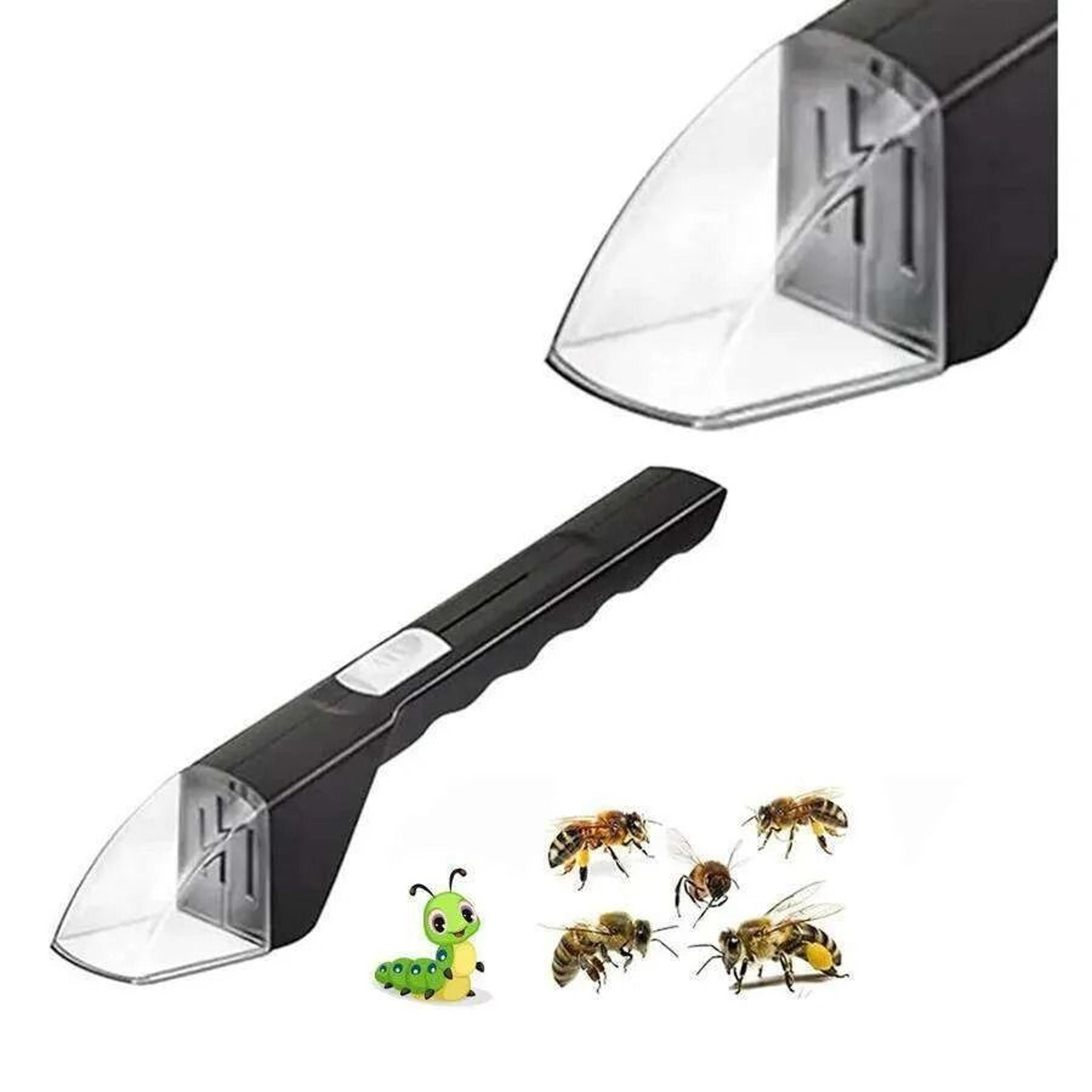 bug catcher with clear viewing window and quick release for kids and adults