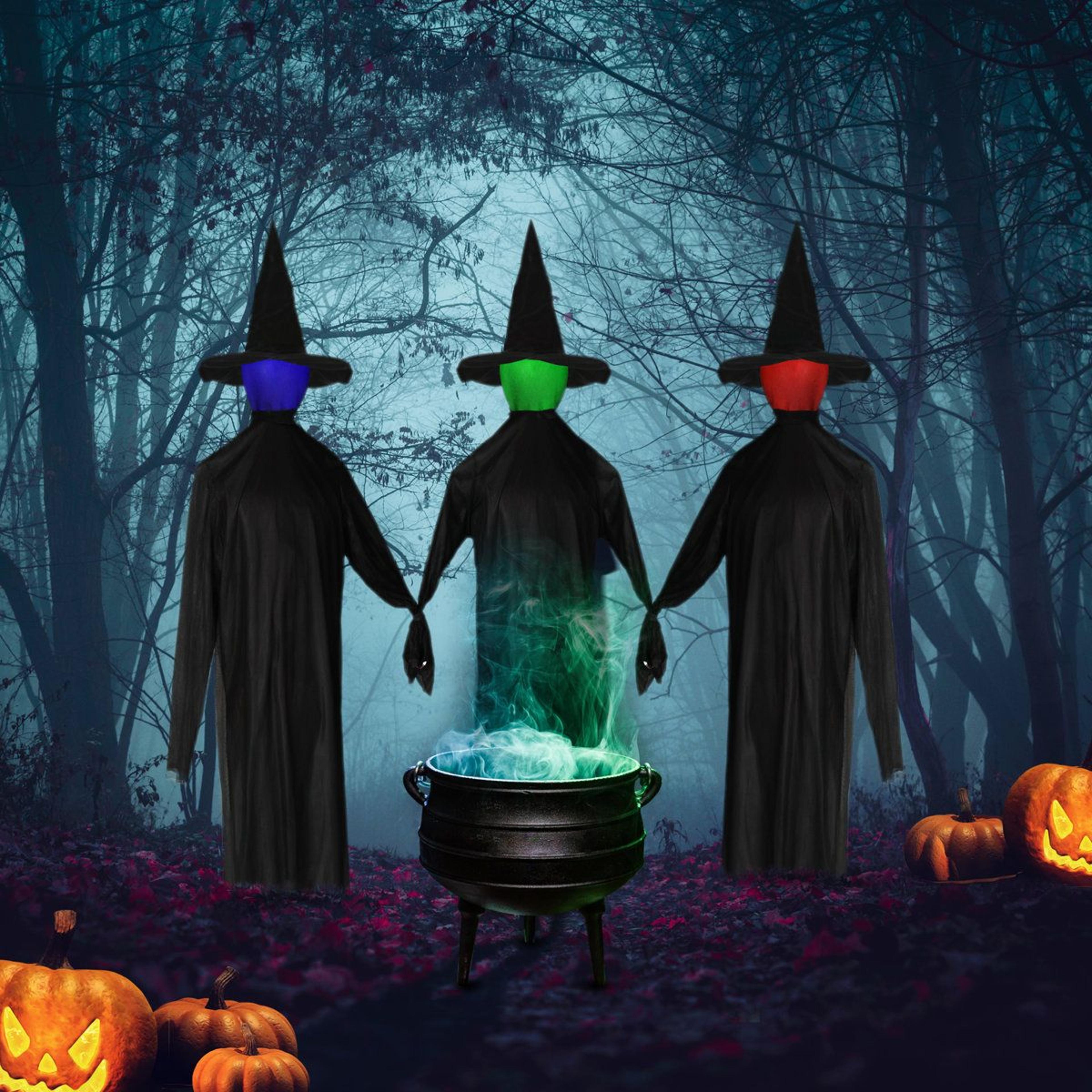 halloween witch decoration set with motion activated screaming sounds