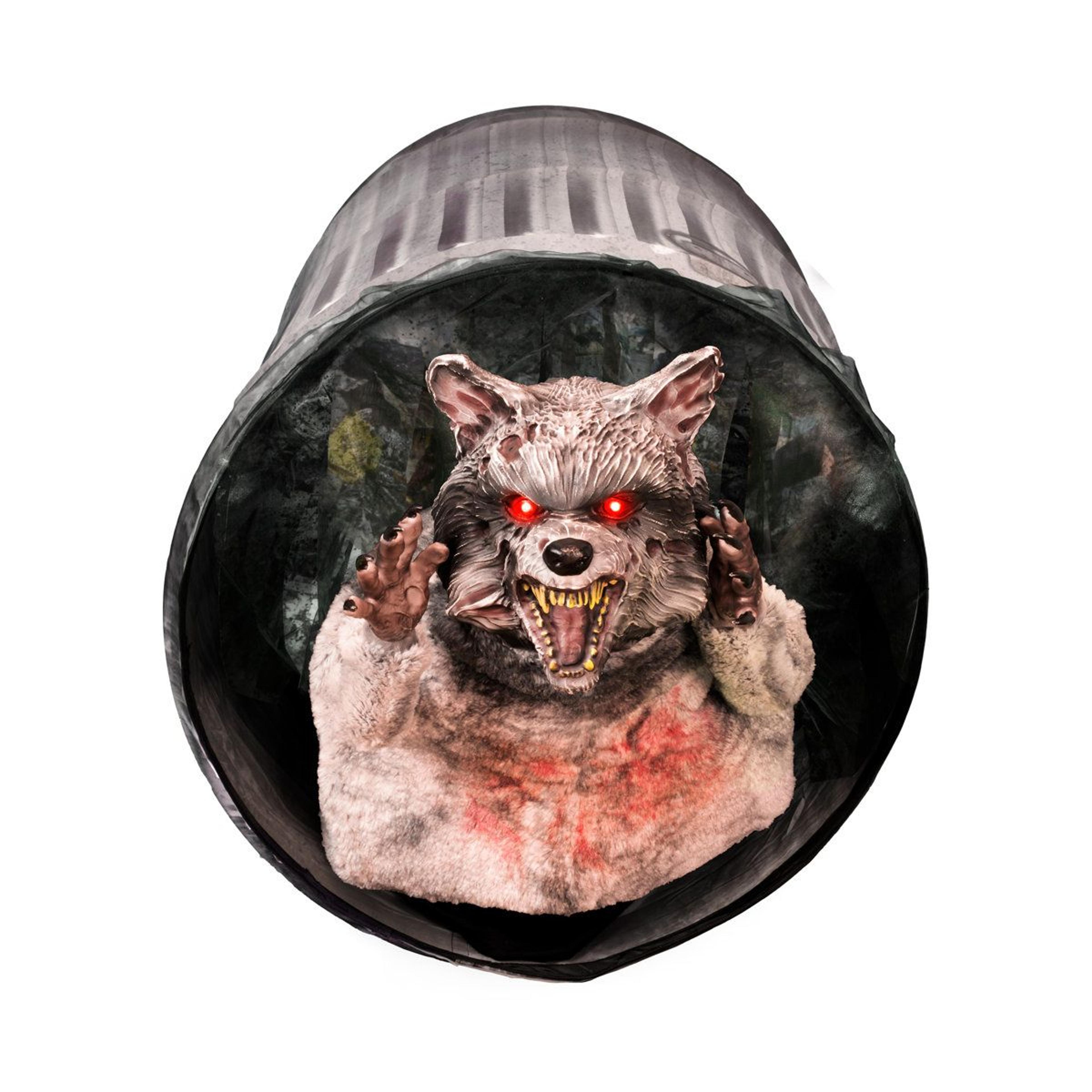 zombie raccoon halloween animatronic with motion activation and red led eyes
