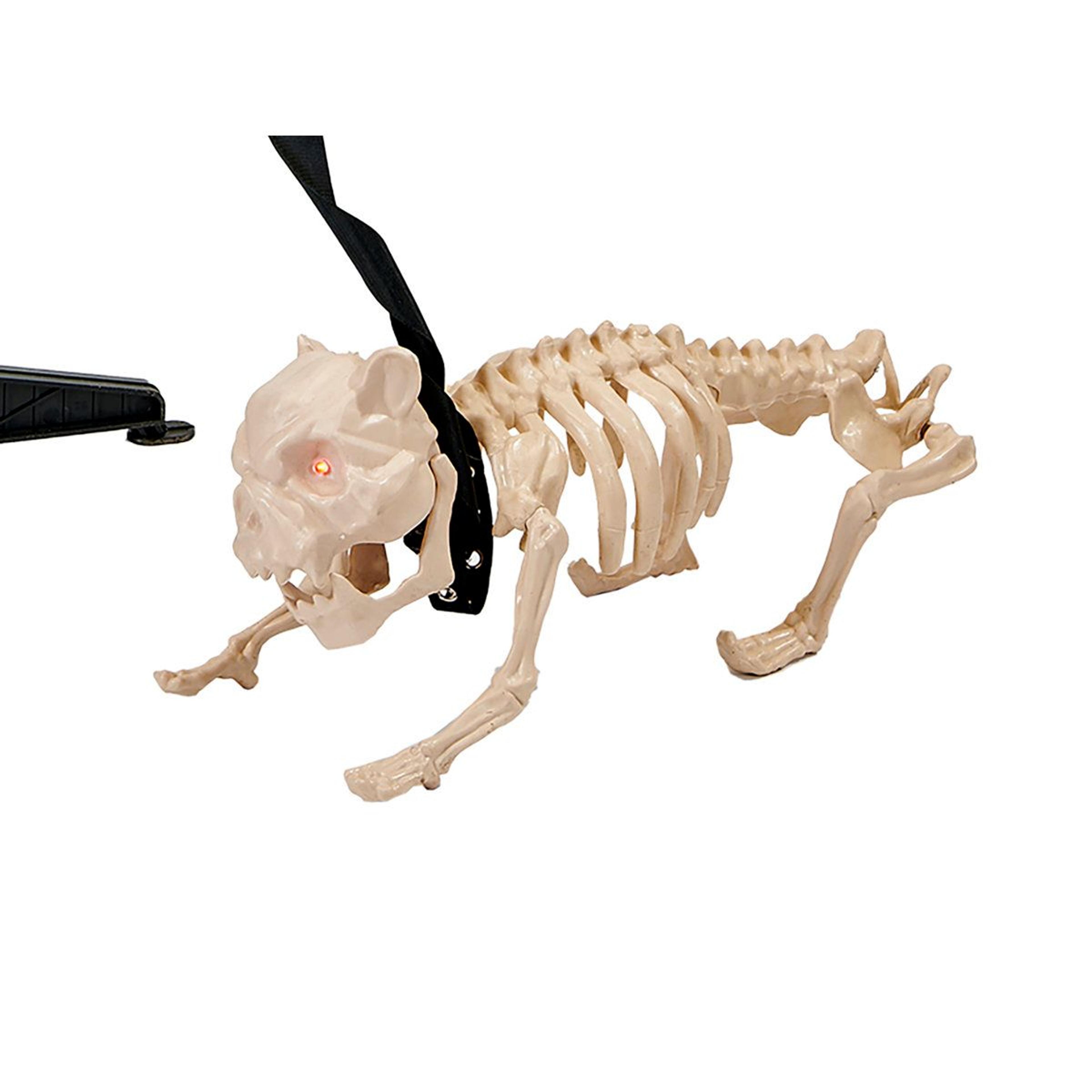 halloween skeleton walking dog decoration with red led eyes