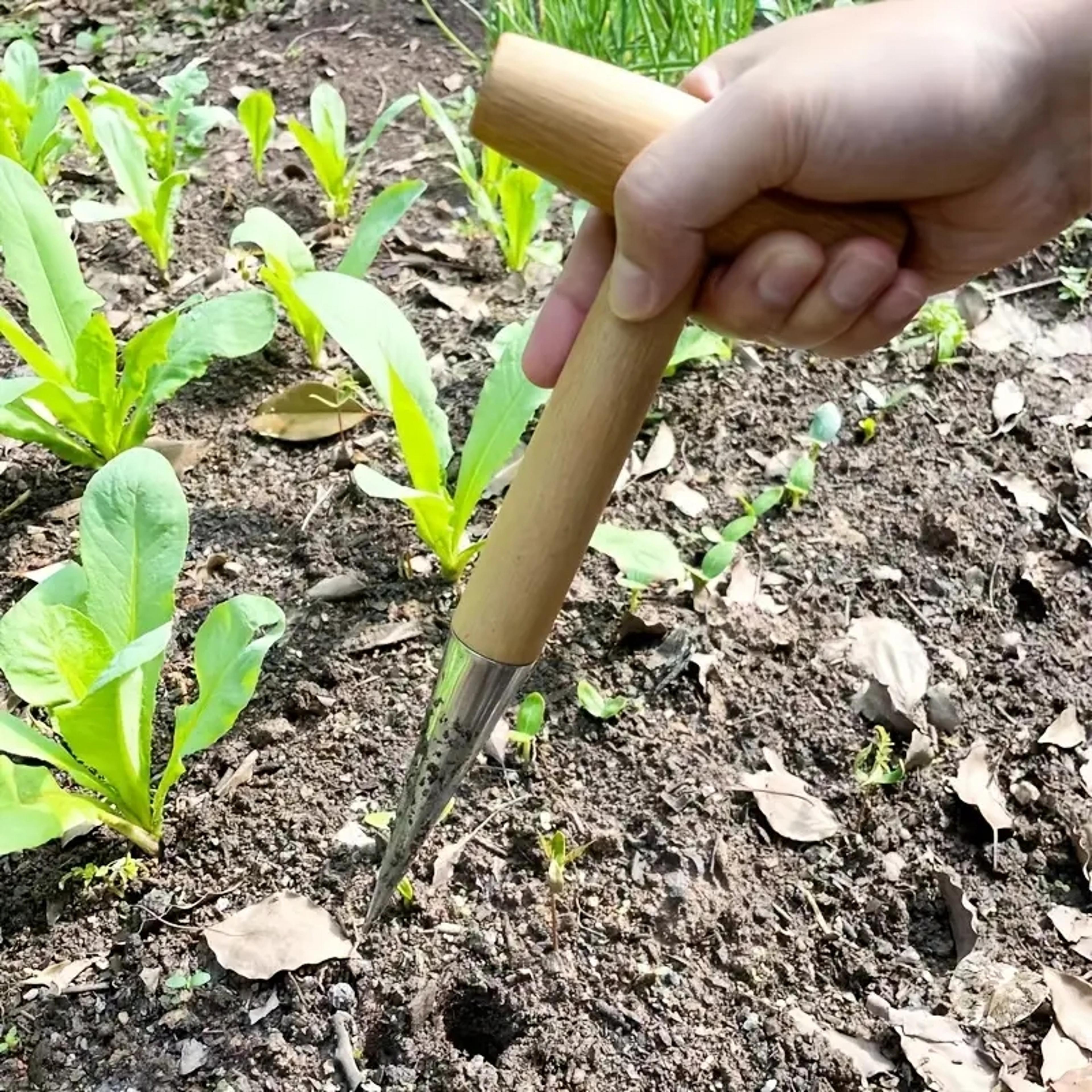 premium garden dibber wooden handle seed planting tool for bulbs, seedlings & garden transplanting