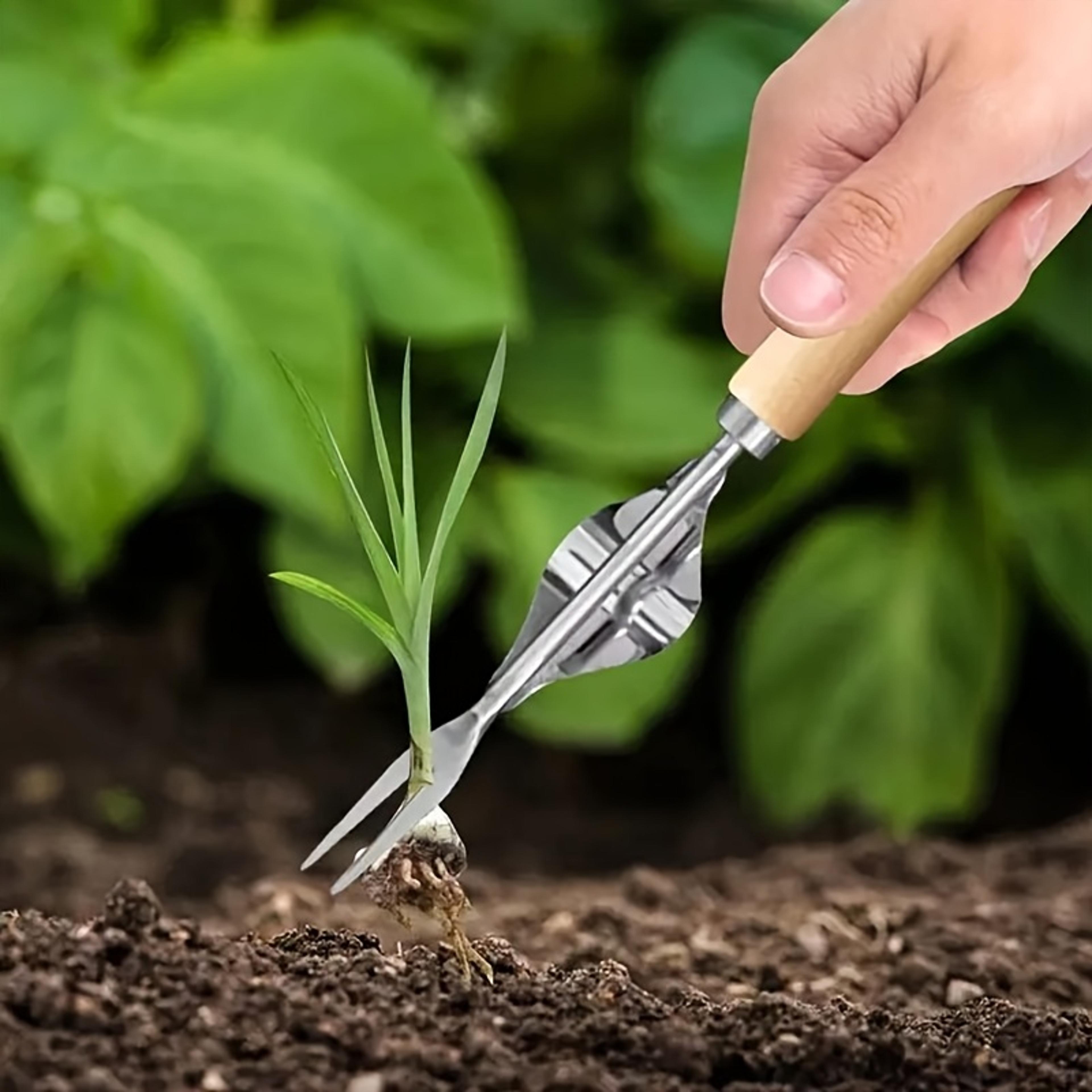ergogrip stainless steel weed puller with wooden handle for easy garden weeding & root removal