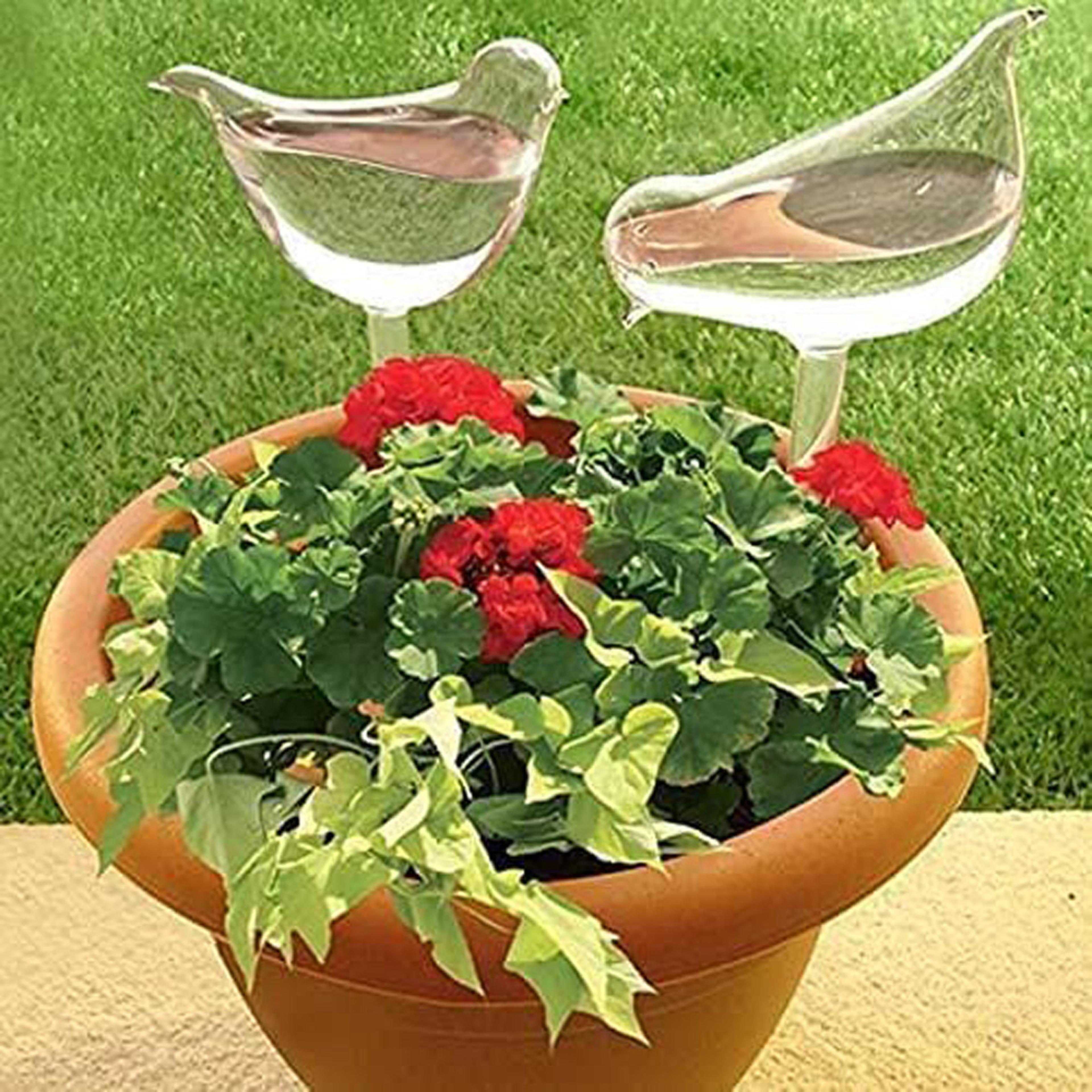 bird shape self watering plant bulbs automatic plant watering globe for indoor & outdoor plants