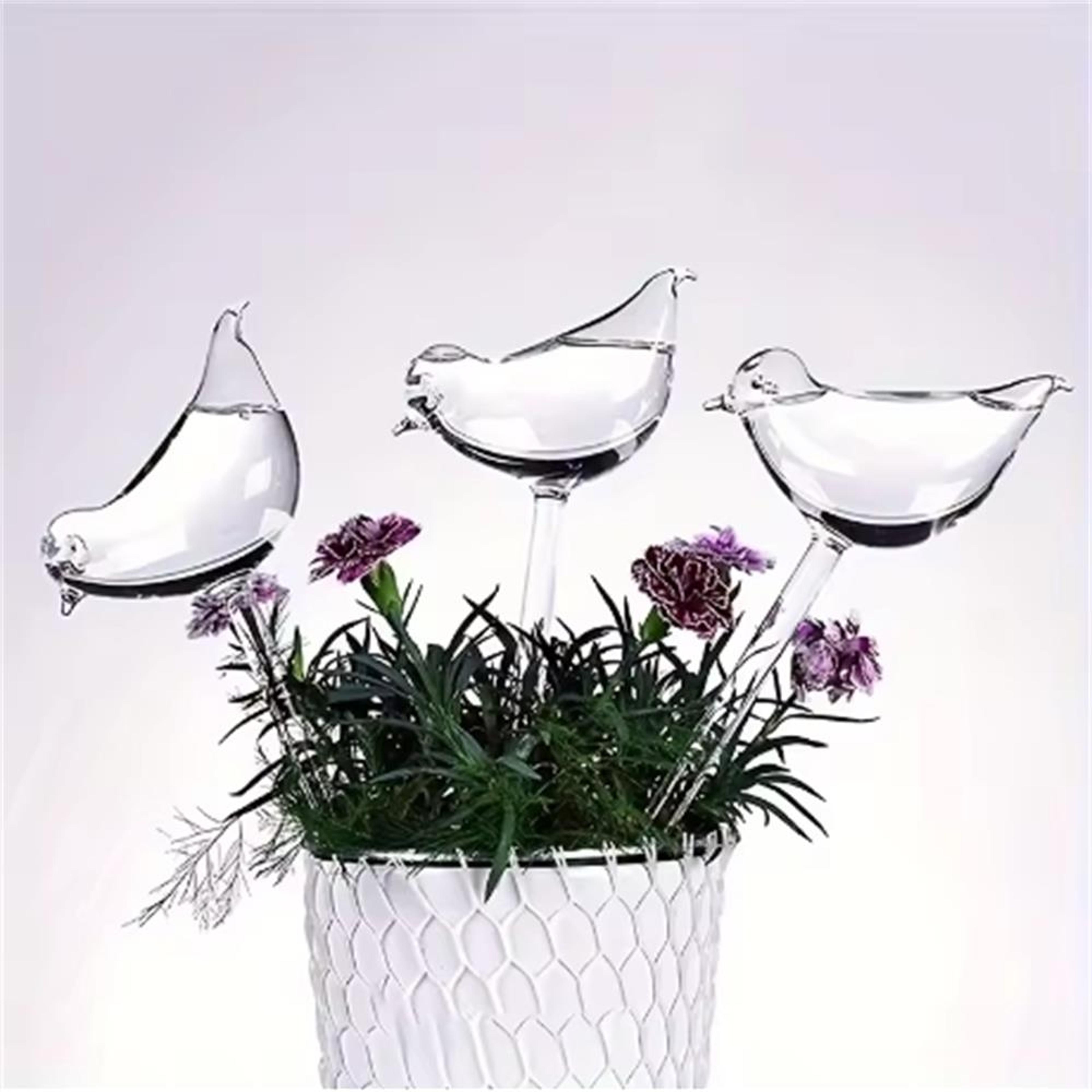 bird shape self watering globes for indoor plants automatic plant watering bulbs for potted plants