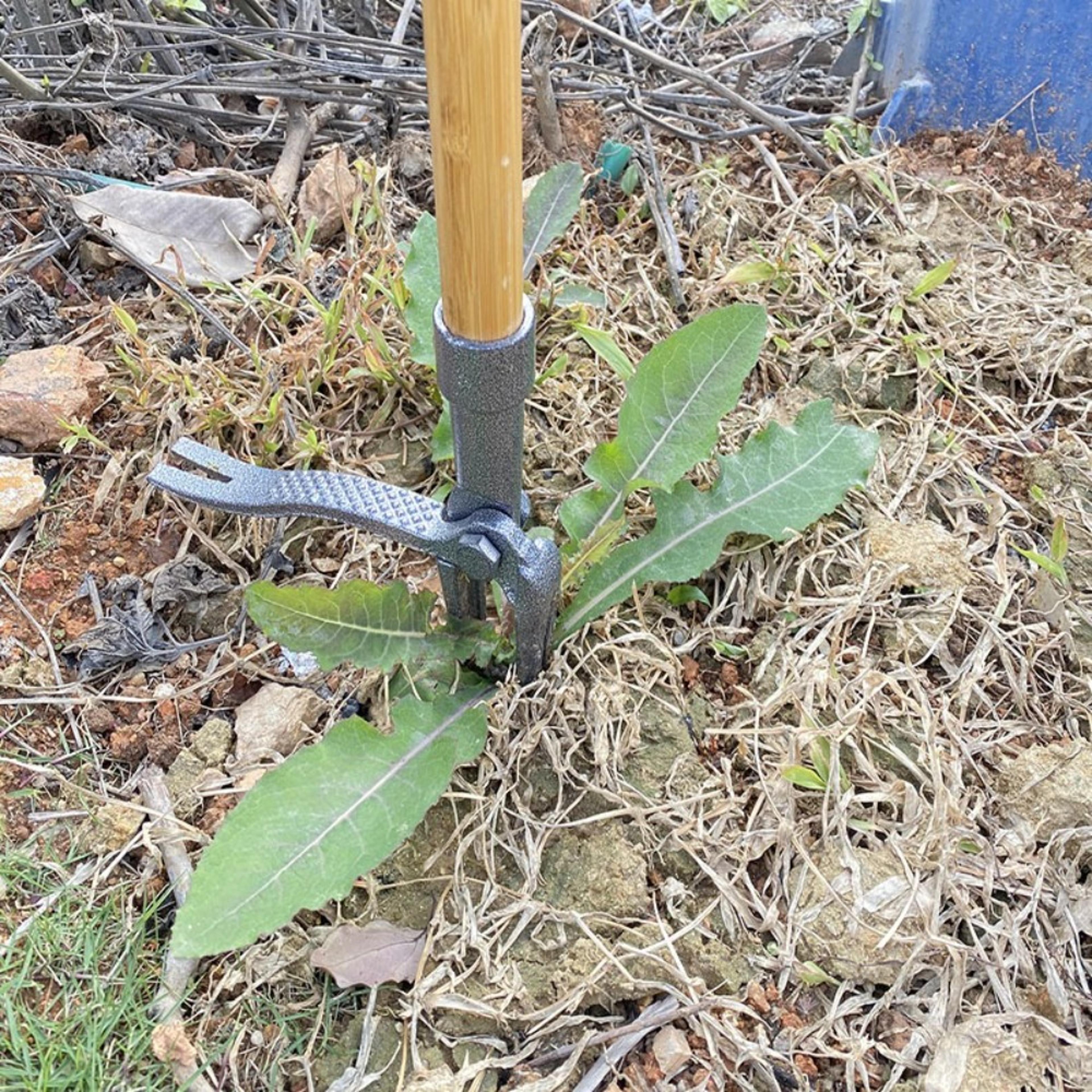 heavy duty stand up weed puller tool with claw steel head & adjustable long handle