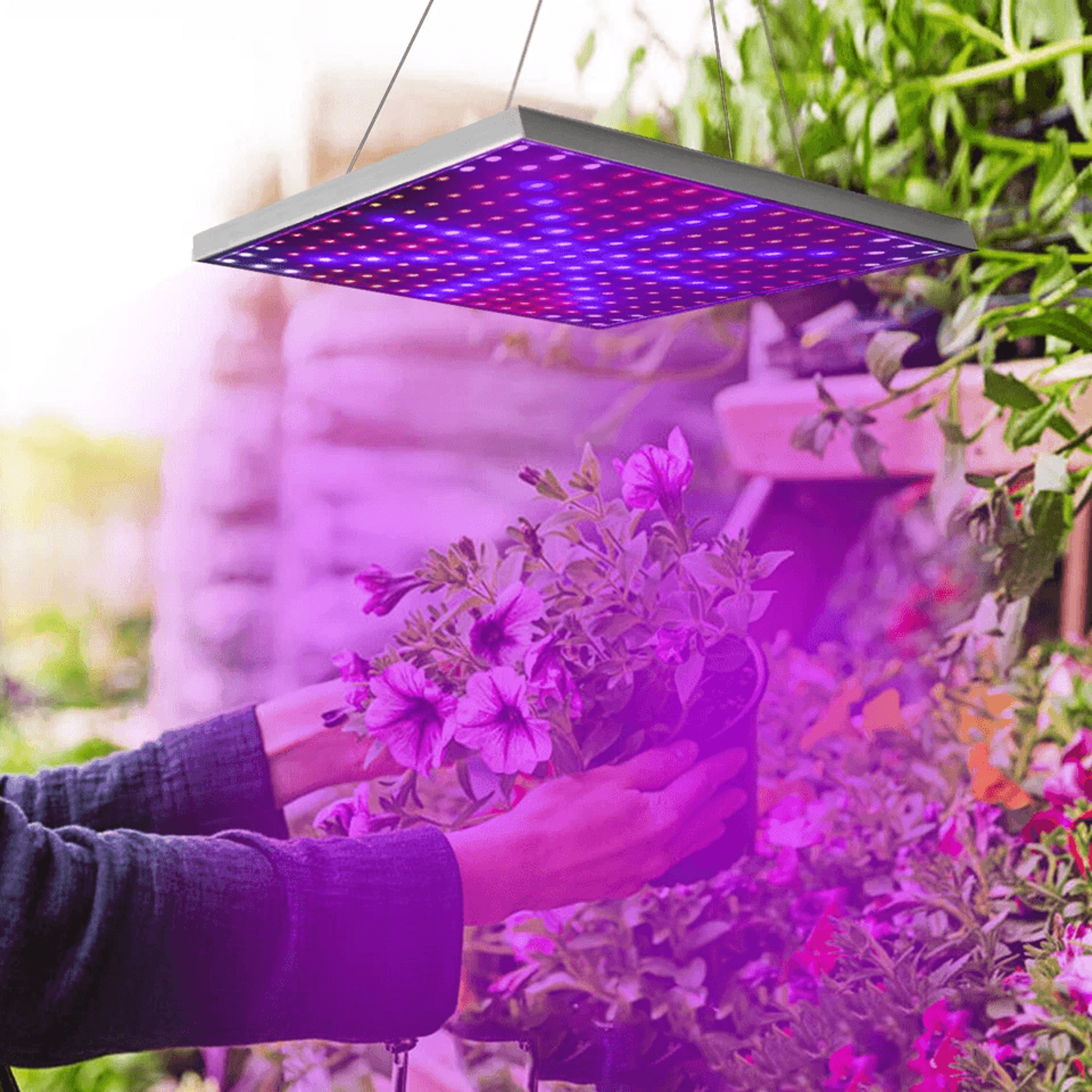 led full spectrum grow light panel, uv veg lamp for indoor hydroponic plants