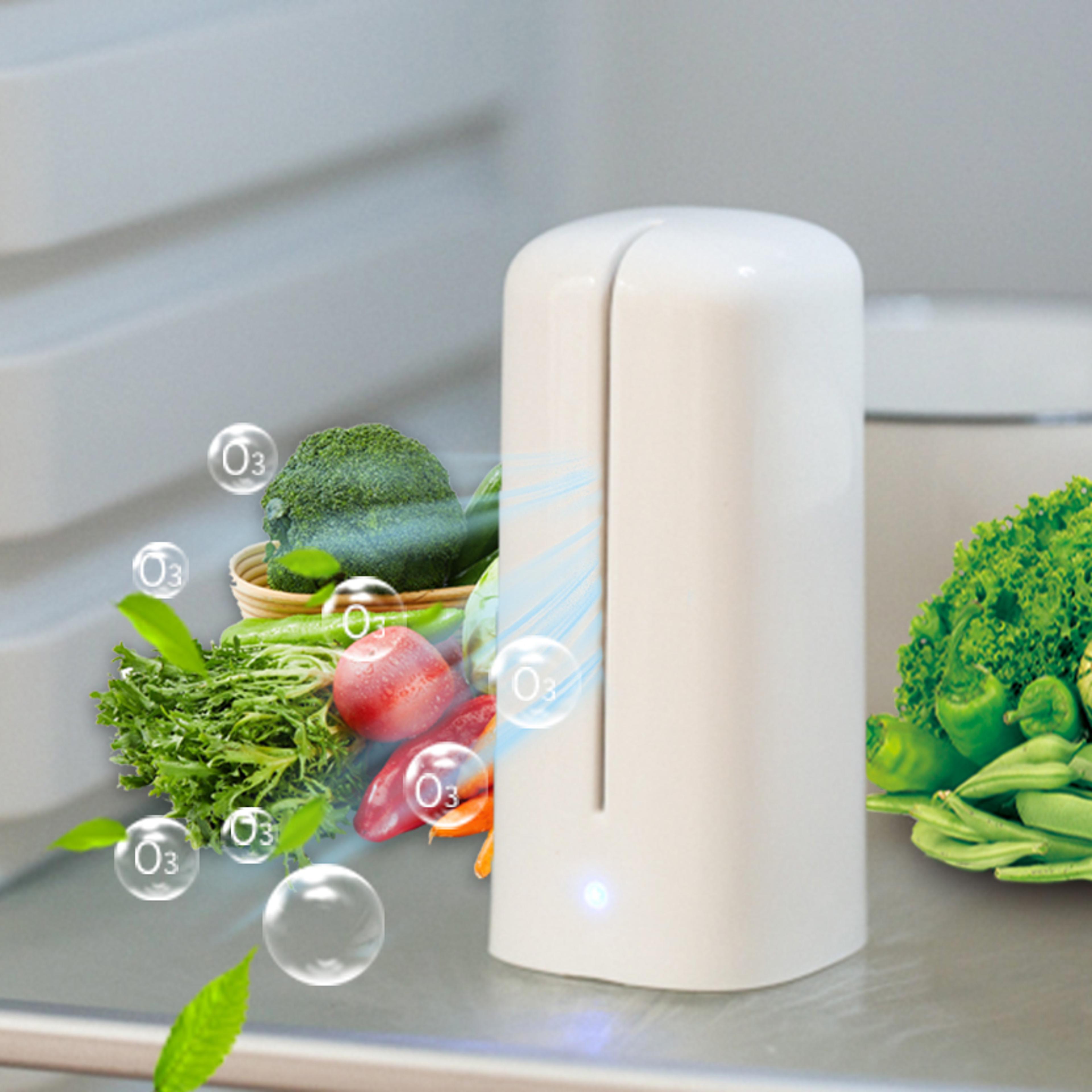 portable mini ozone generator usb rechargeable air purifier odor eliminator