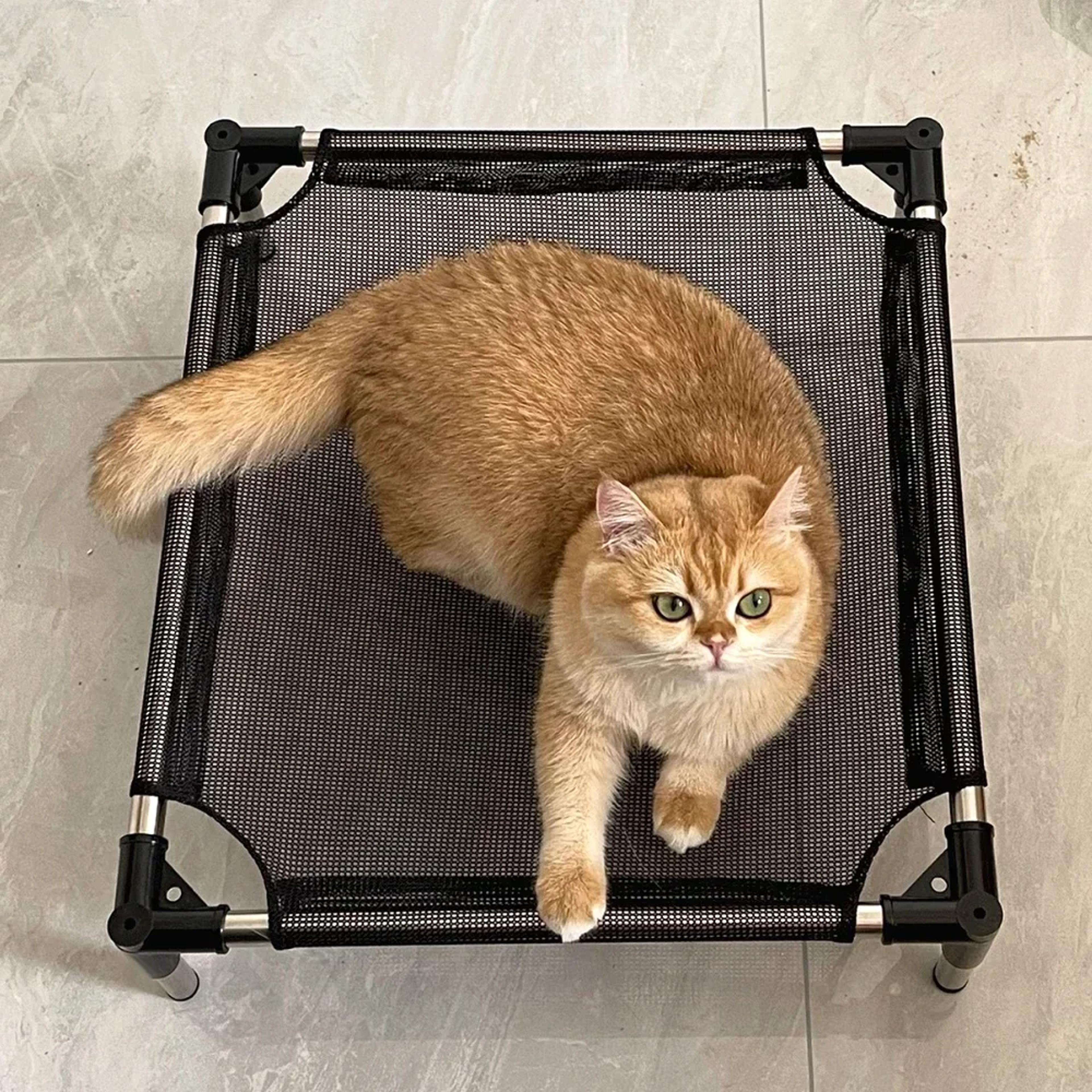 elevated cat hammock with stand breathable mesh indoor outdoor raised pet bed