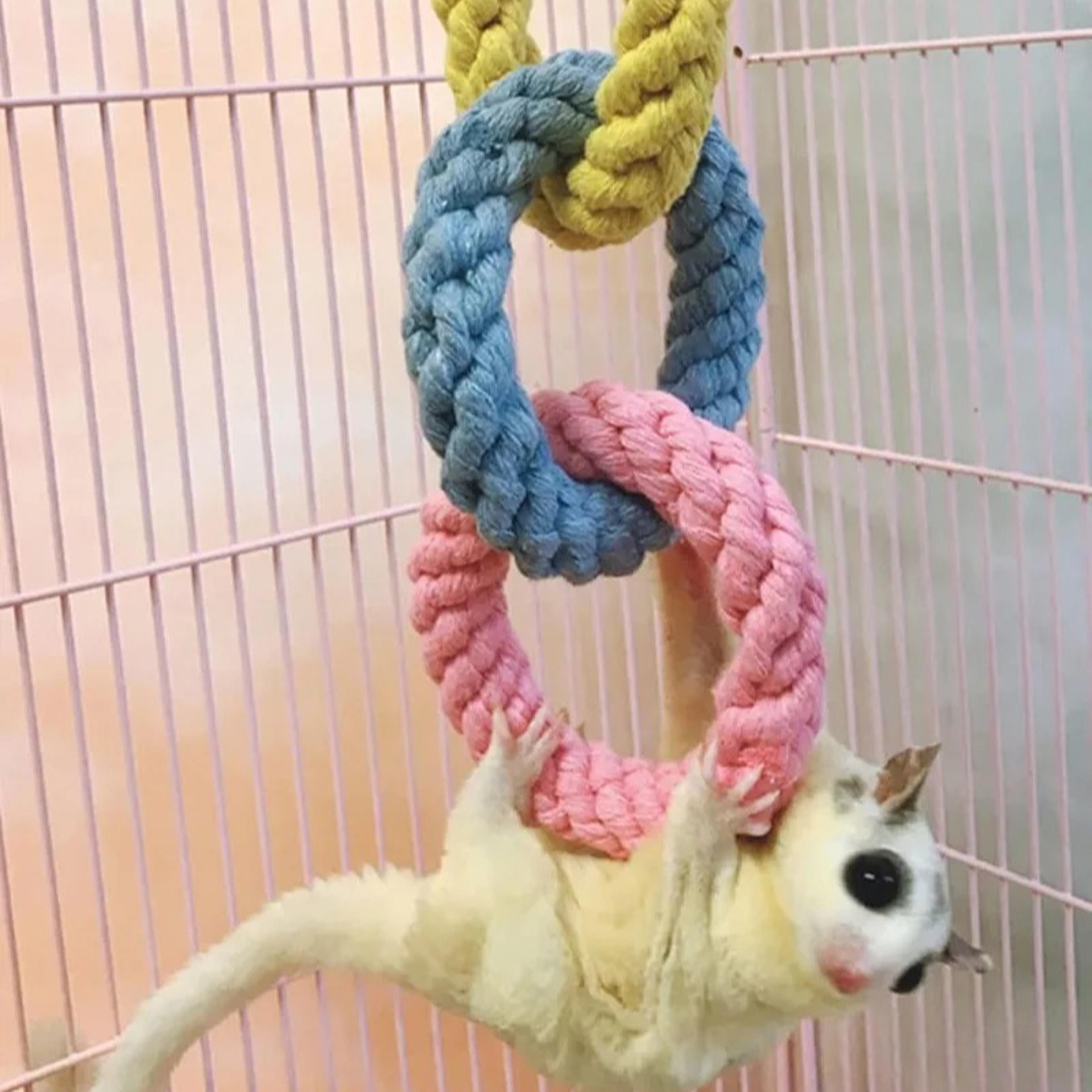 colorful rope pet toy dog grinding teeth chewingtoys interactive parrot climbing rope toys