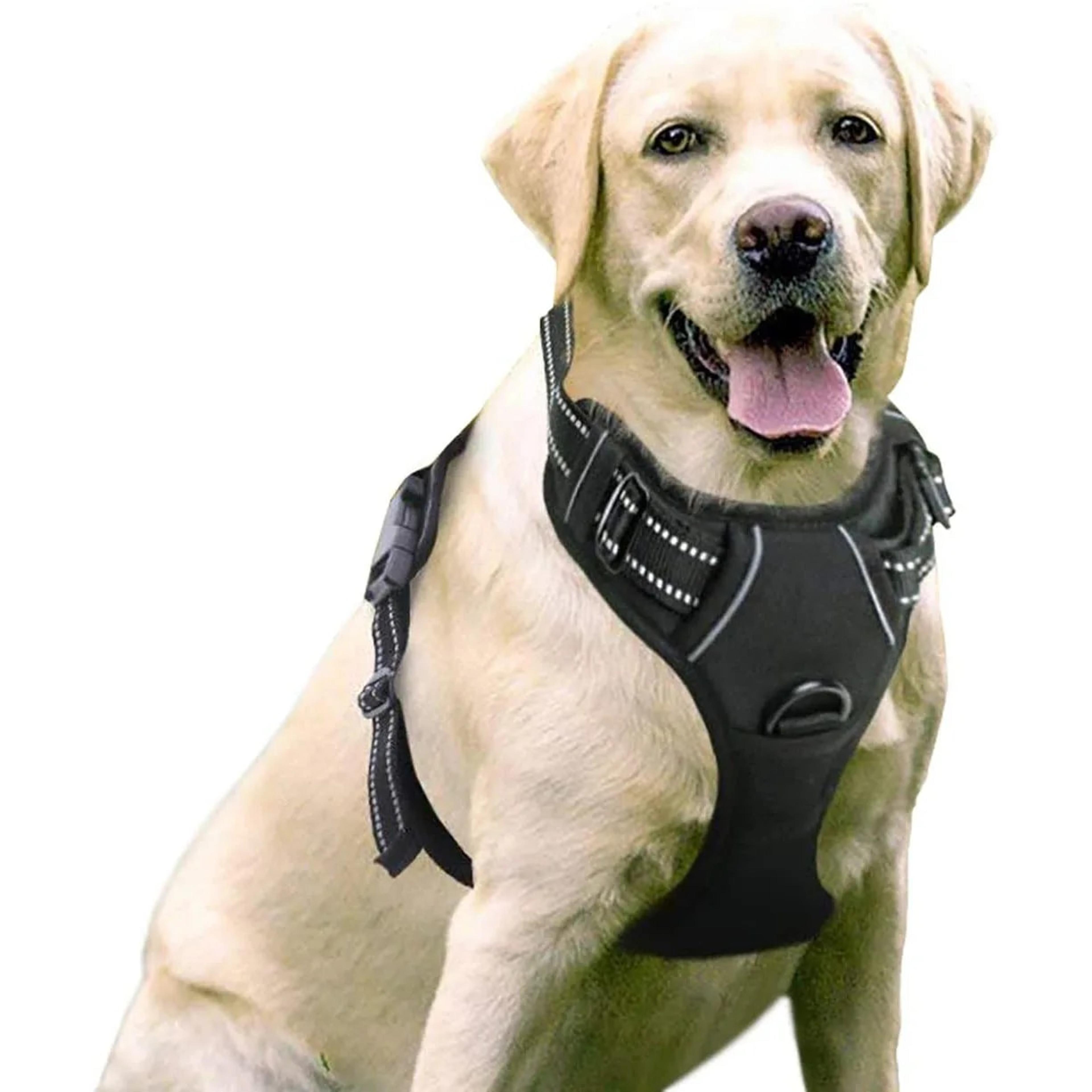 reflective adjustable pet dog harness: breathable vest for dogs & cats