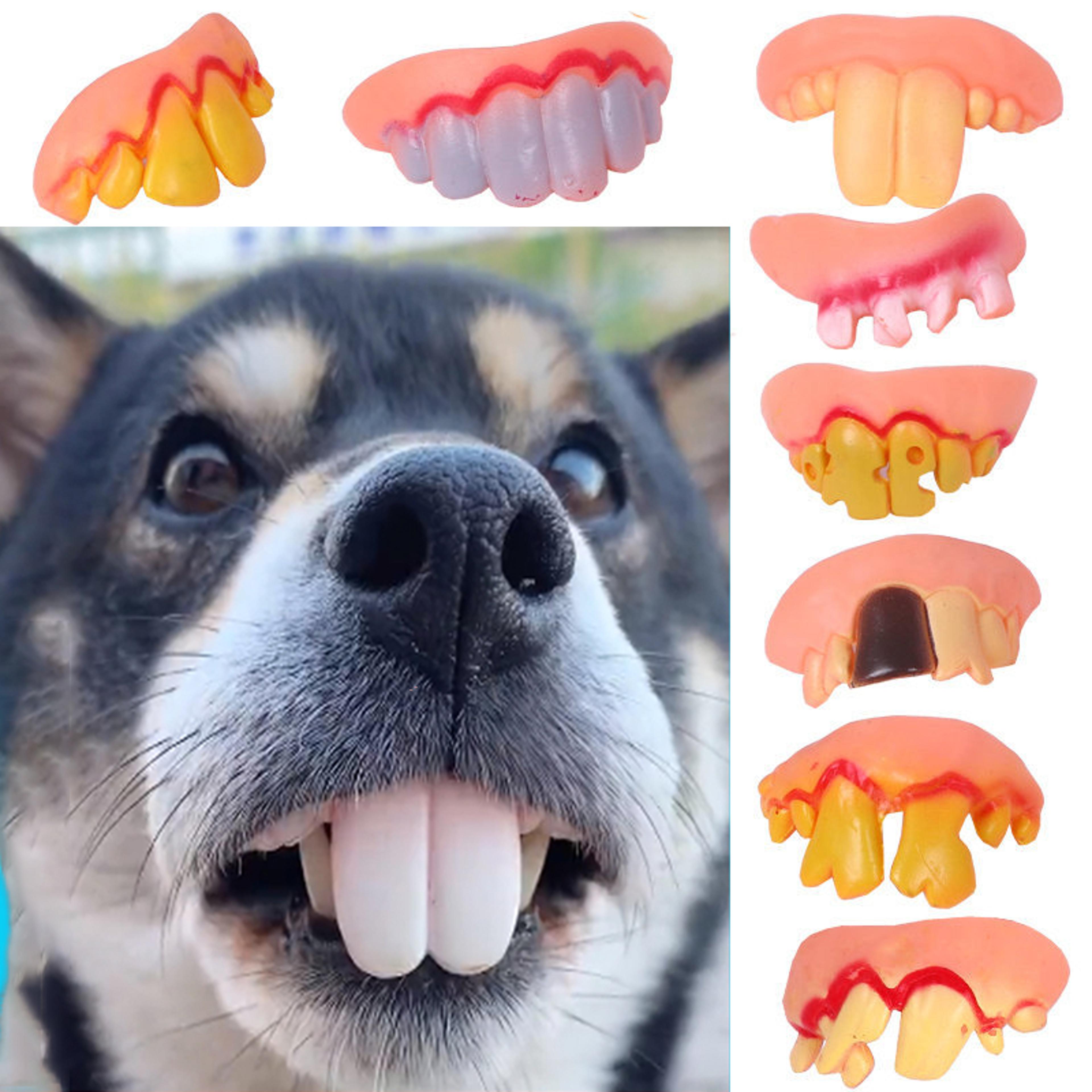 tricky and funny dentures: perfect halloween cosplay supplies for pets and humans