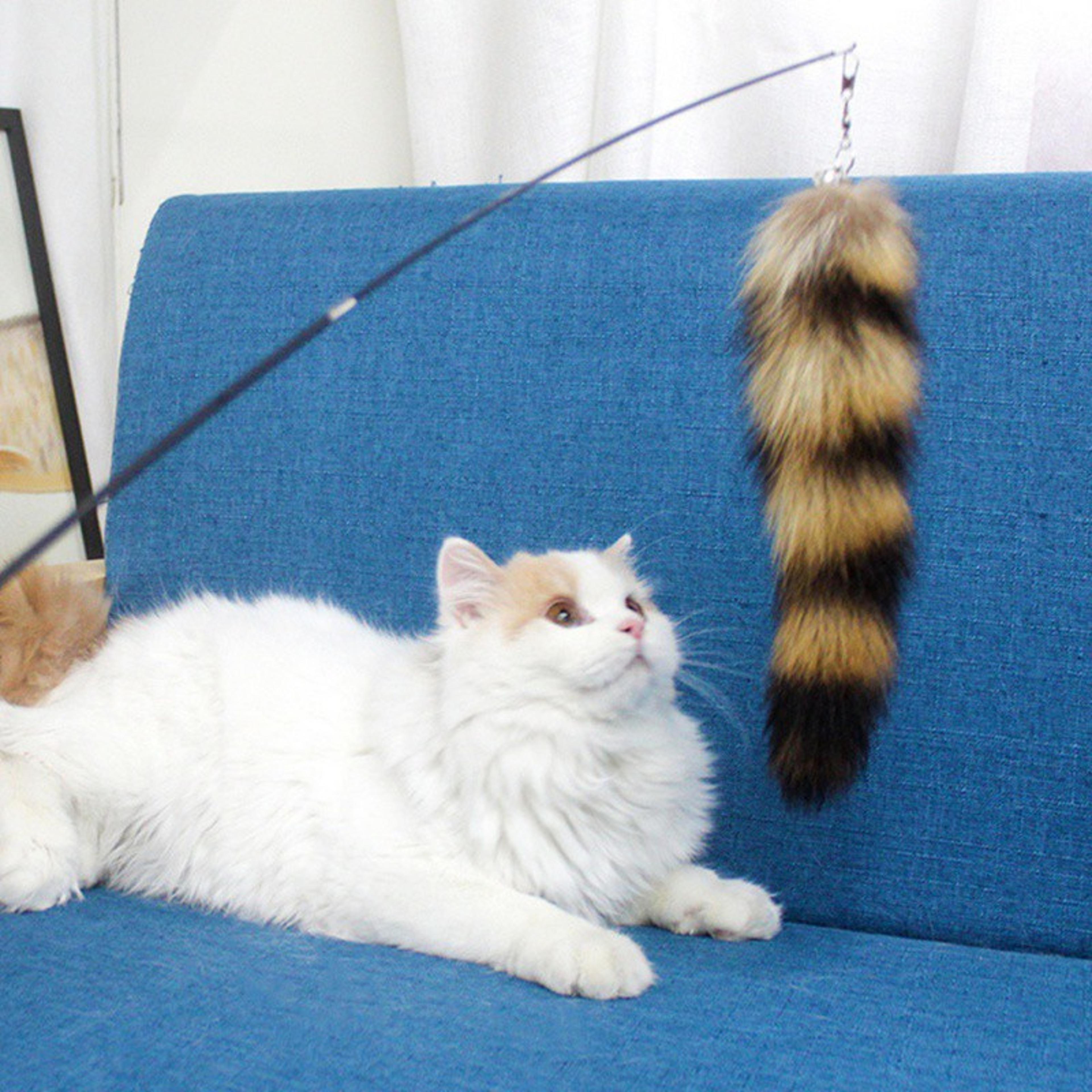 interactive cat toy: funny plush tail teaser for kitten exercise and playtime